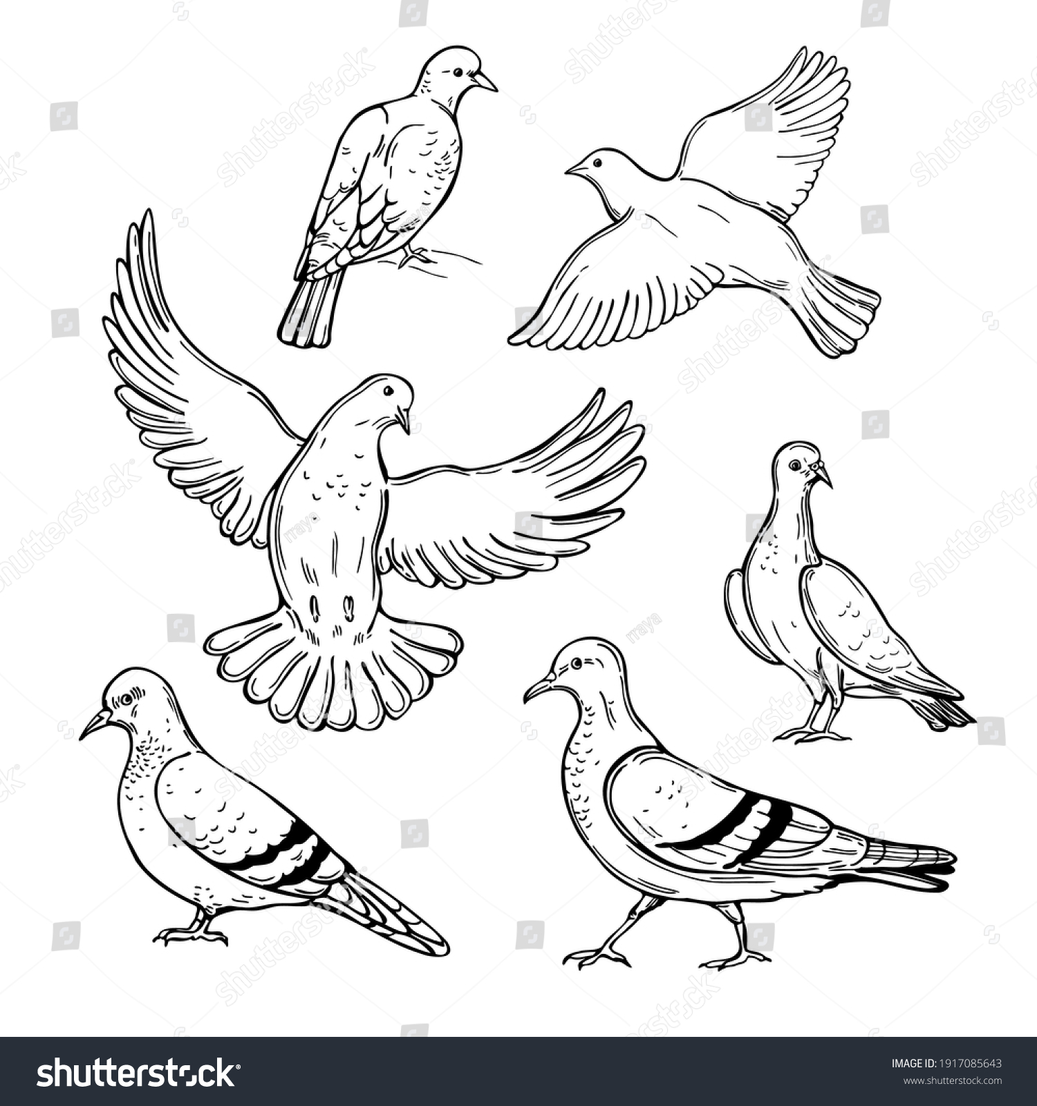 Hand Drawn Doves Vector Sketch Illustration Stock Vector (Royalty Free ...