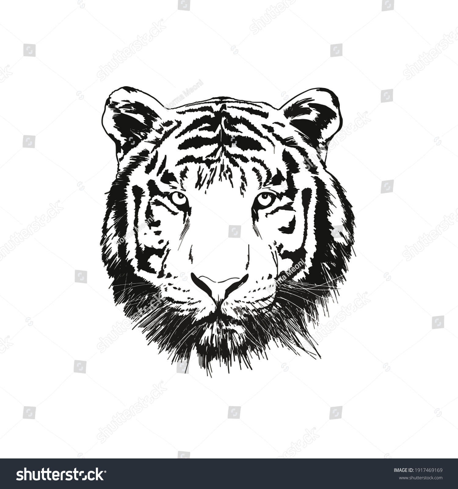 Black White Tiger Face Stock Vector Royalty Free Shutterstock