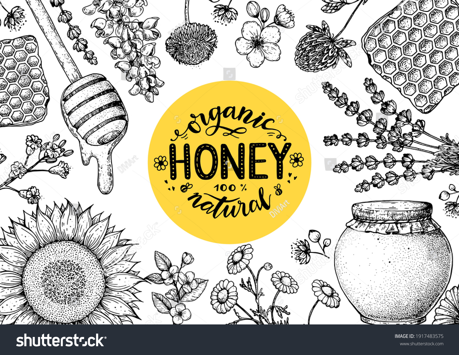 Honey Hand Drawn Vector Illustration Healthy Stock Vector (Royalty Free ...