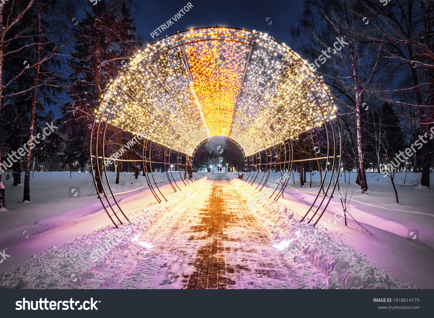 Real Natural Wonder Love Tunnel Created写真素材563 Shutterstock