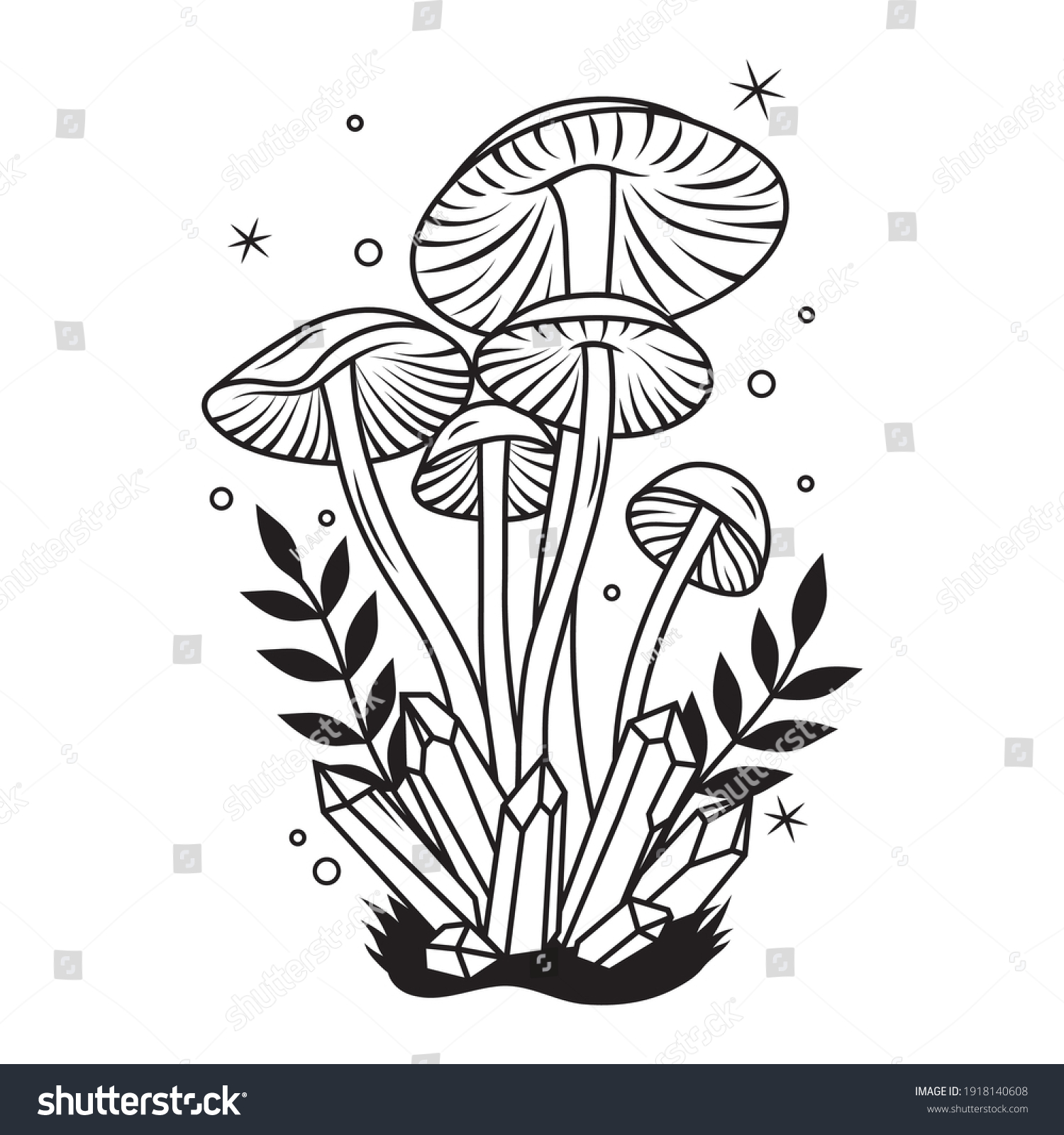 Illustration Mushrooms Crystals Magical Plants Witchcraft Stock Vector ...