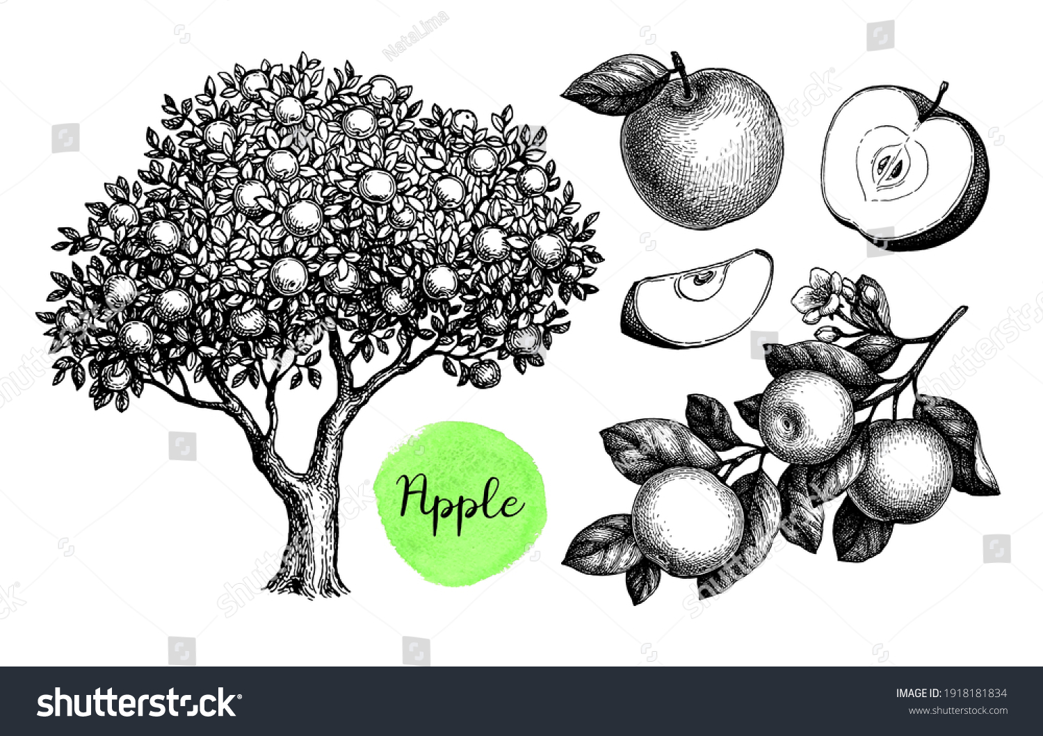Яблоко скетч маркерами