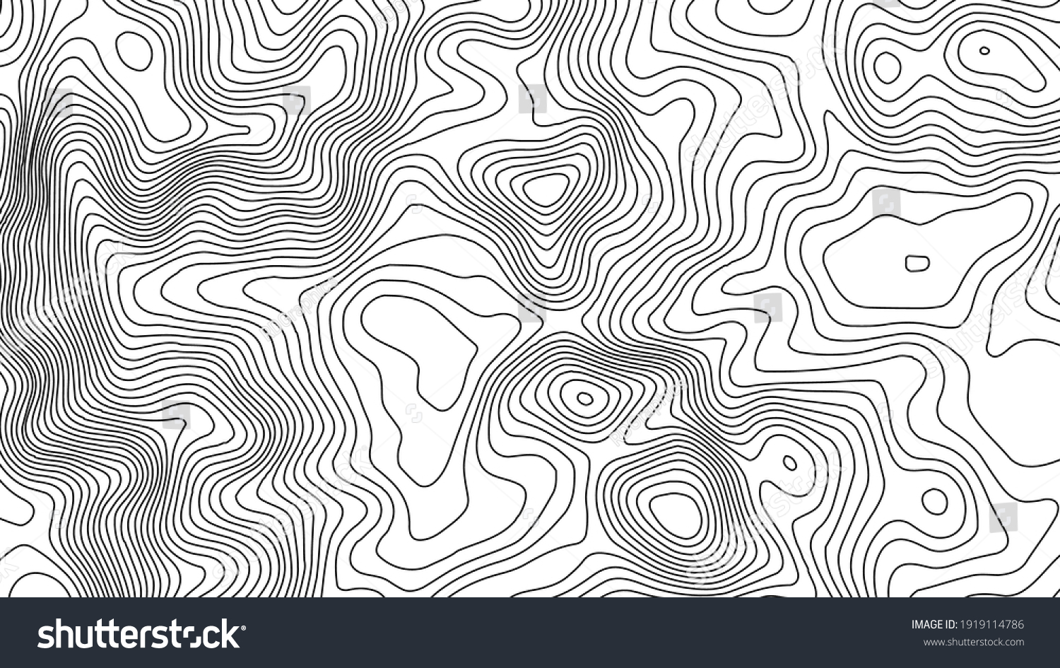 Grey Contours Vector Topography Geographic Mountain Stock Vector ...