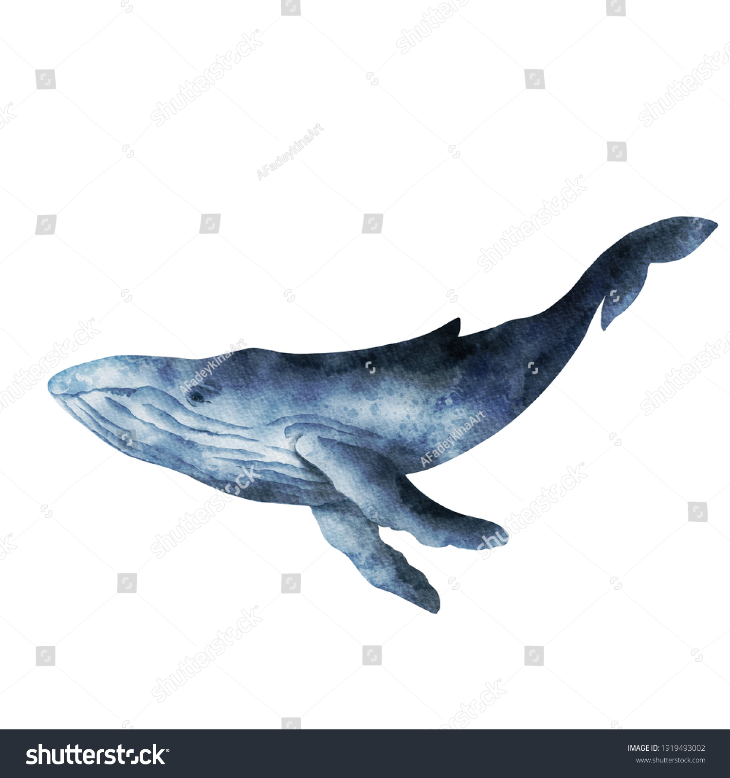 Watercolor Whale Isolated On White Background Stock Illustration ...