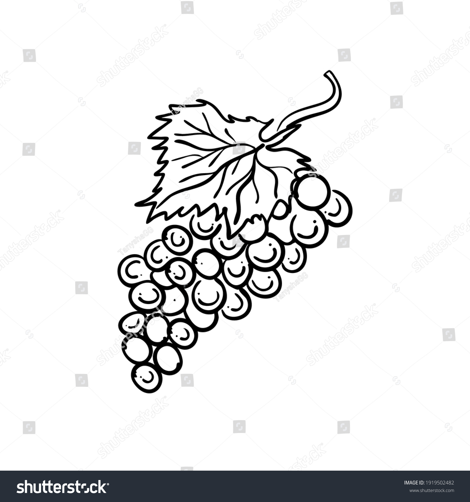 Contour Drawing Bunch Grapes Vector Illustration Stock Vector (Royalty ...