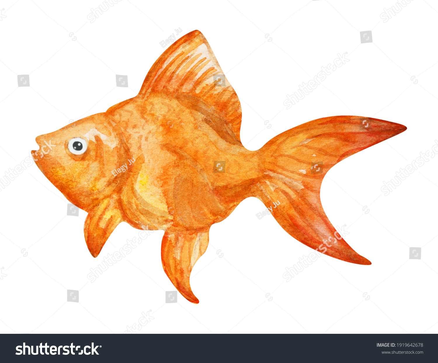 Goldfish Isolated On White Background Hand Stock Illustration ...