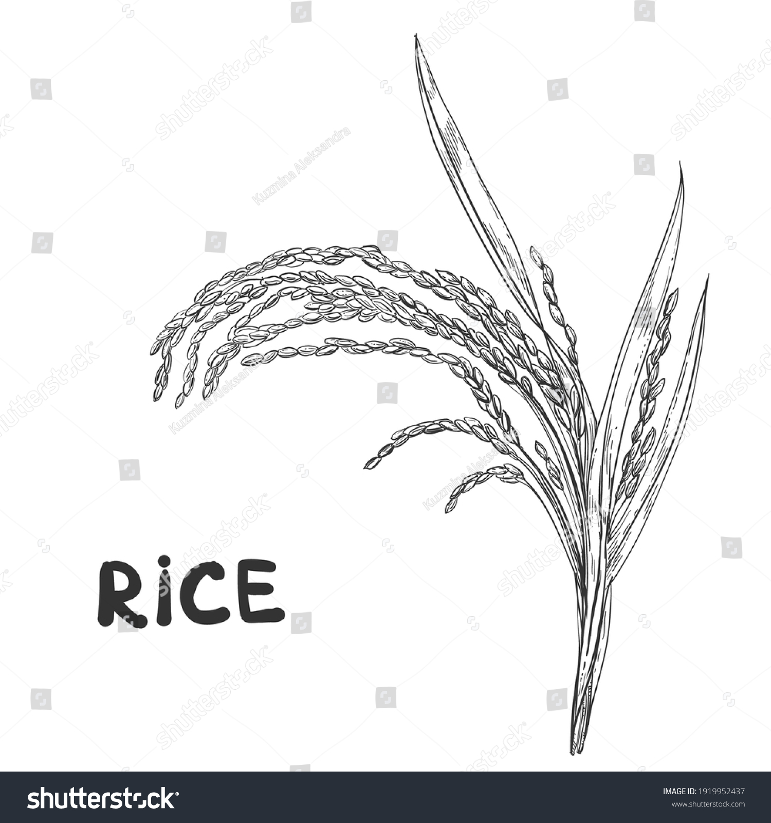 Рисунок рис