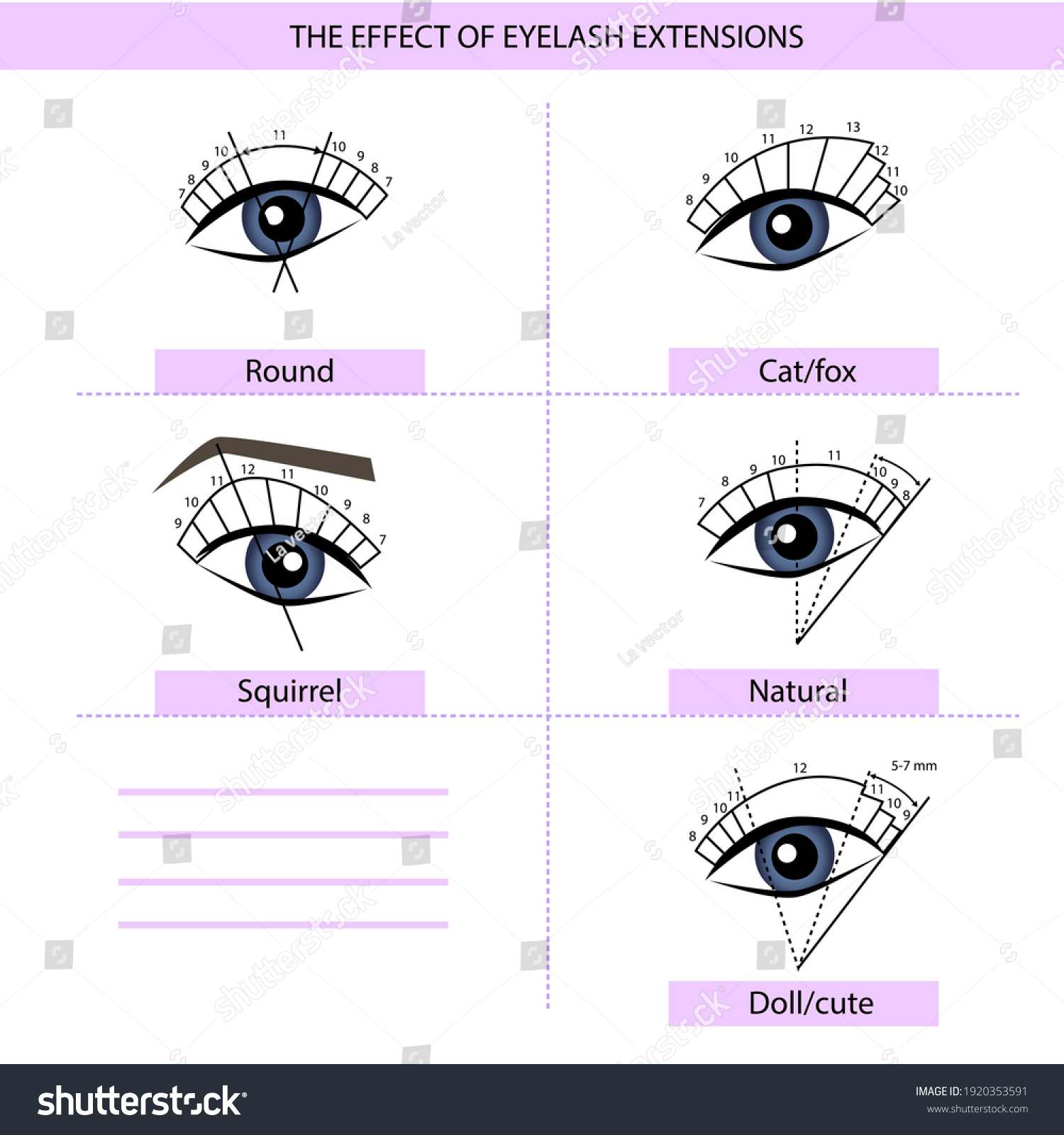 Eyelash Extension Guide Direction Schemes Tips Stock Vector (Royalty ...