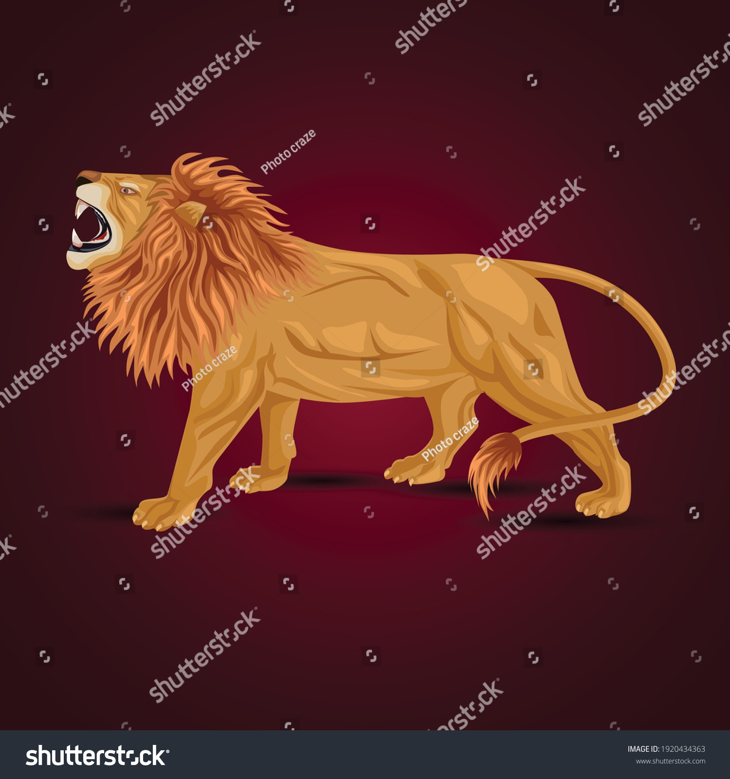 Angry Lion Side View Isolated White Stock Vector (Royalty Free ...