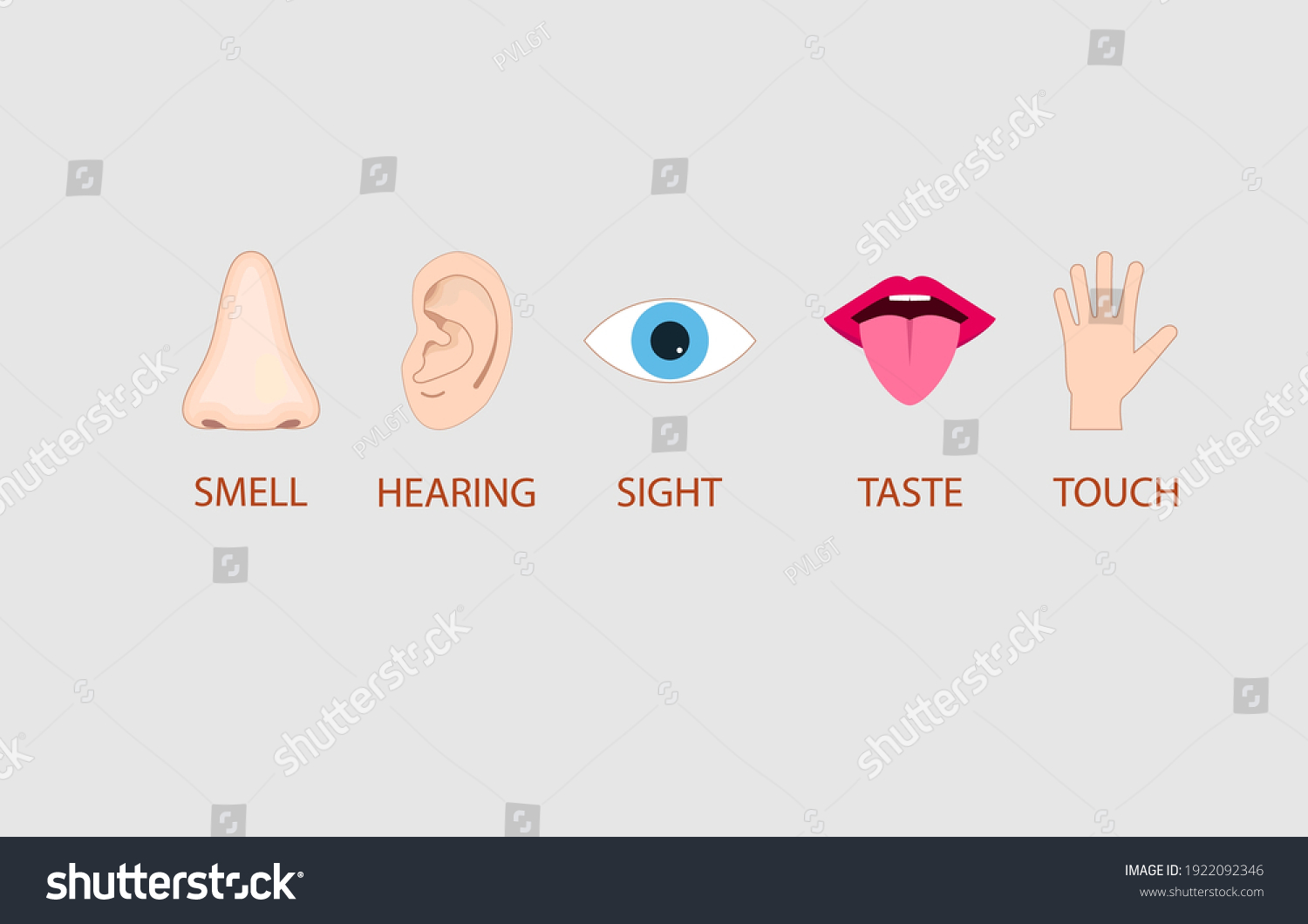 586,352 Image Body Parts Images, Stock Photos & Vectors 