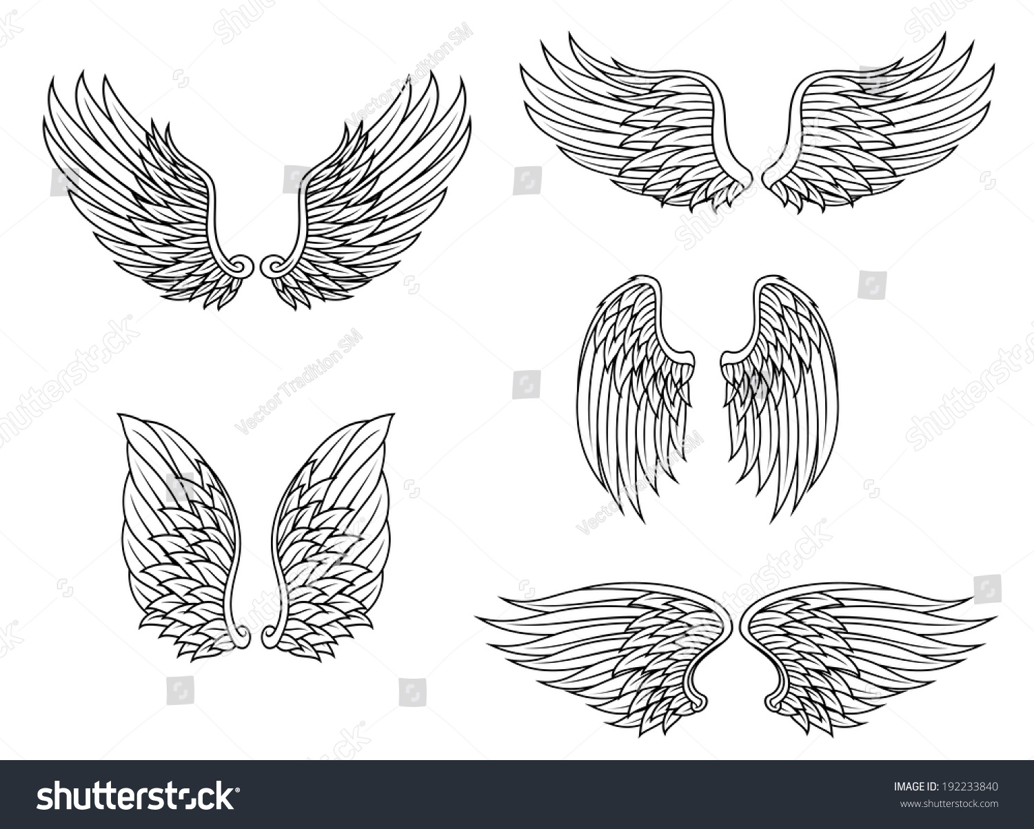 Heraldic Wings Set Isolated On White Stock Illustration 192233840 ...