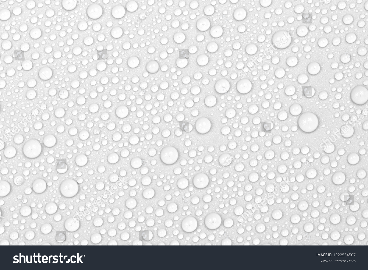 Water Drops On White Background Texture Stock Photo 1922534507 ...