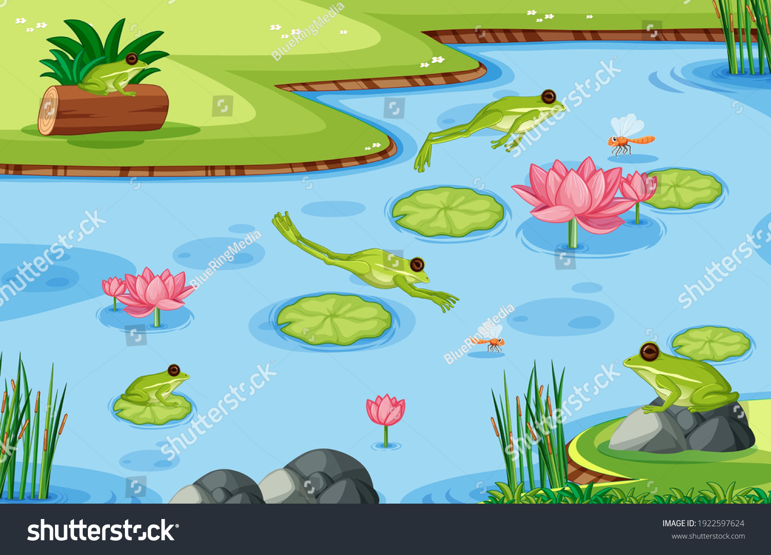 Many Green Frogs Pond Scene Illustration Stock Vector (Royalty Free ...