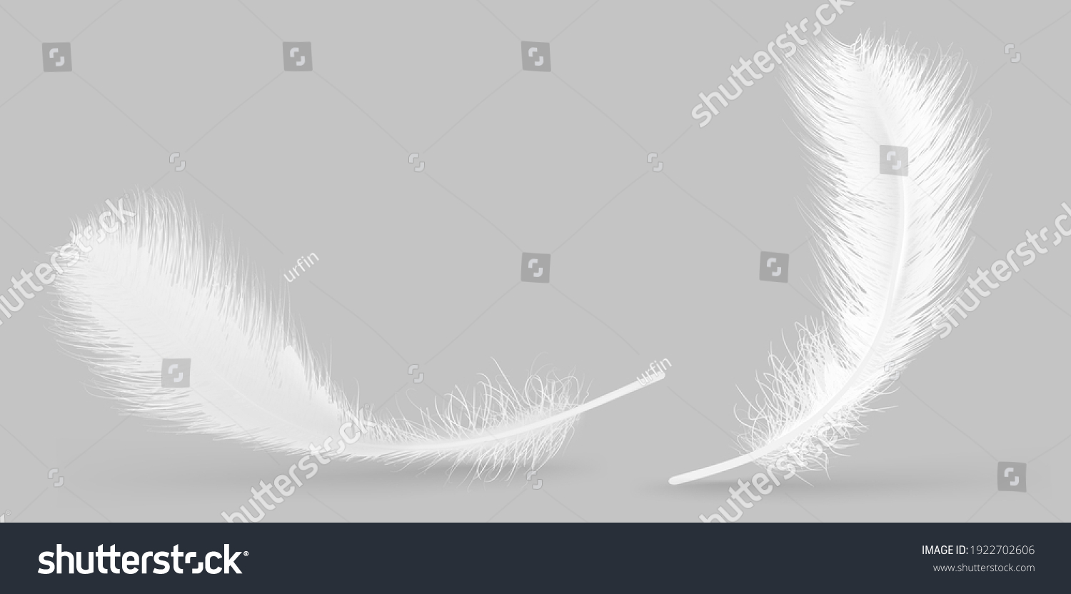 Vector Feather Isolated On Grey Background Stock Vector (Royalty Free ...