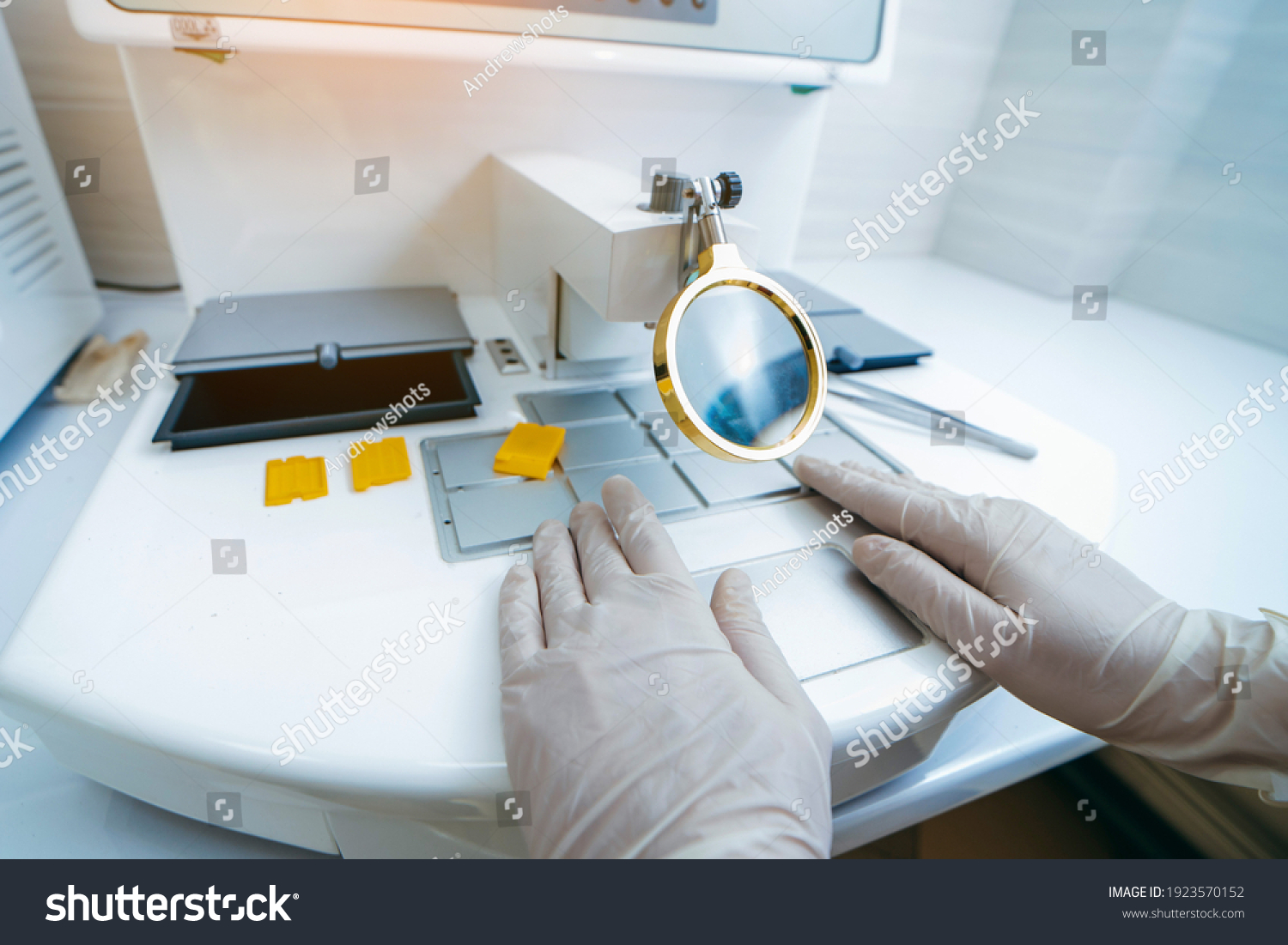 Waxing Samples Laboratory Histological Examination Biopsy Stock Photo ...