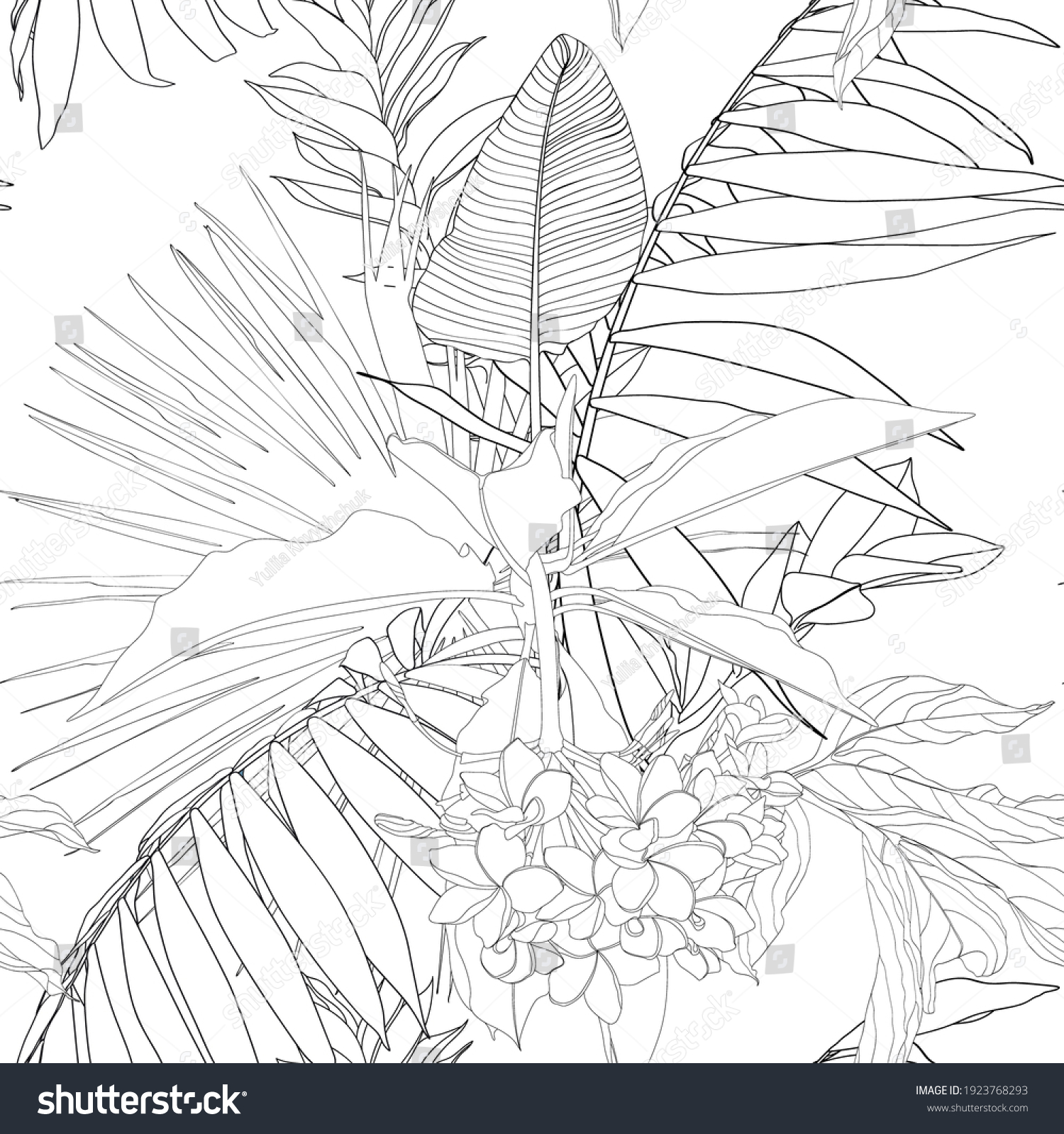 Tropical Exotic Floral Line Black White Stock Vector (Royalty Free ...