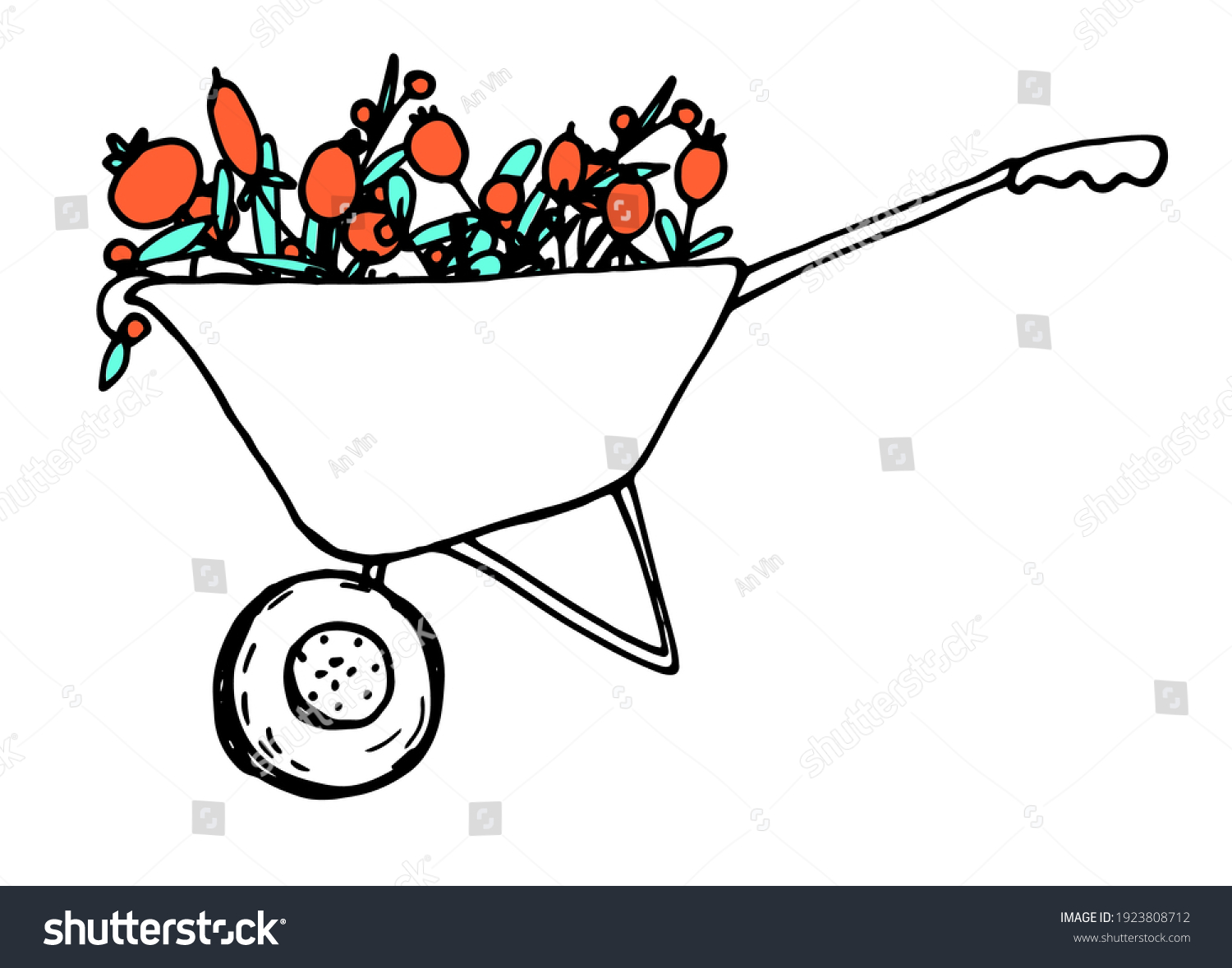 Vector Drawing Wheelbarrow Bright Berries Inside Stock Vector (Royalty ...