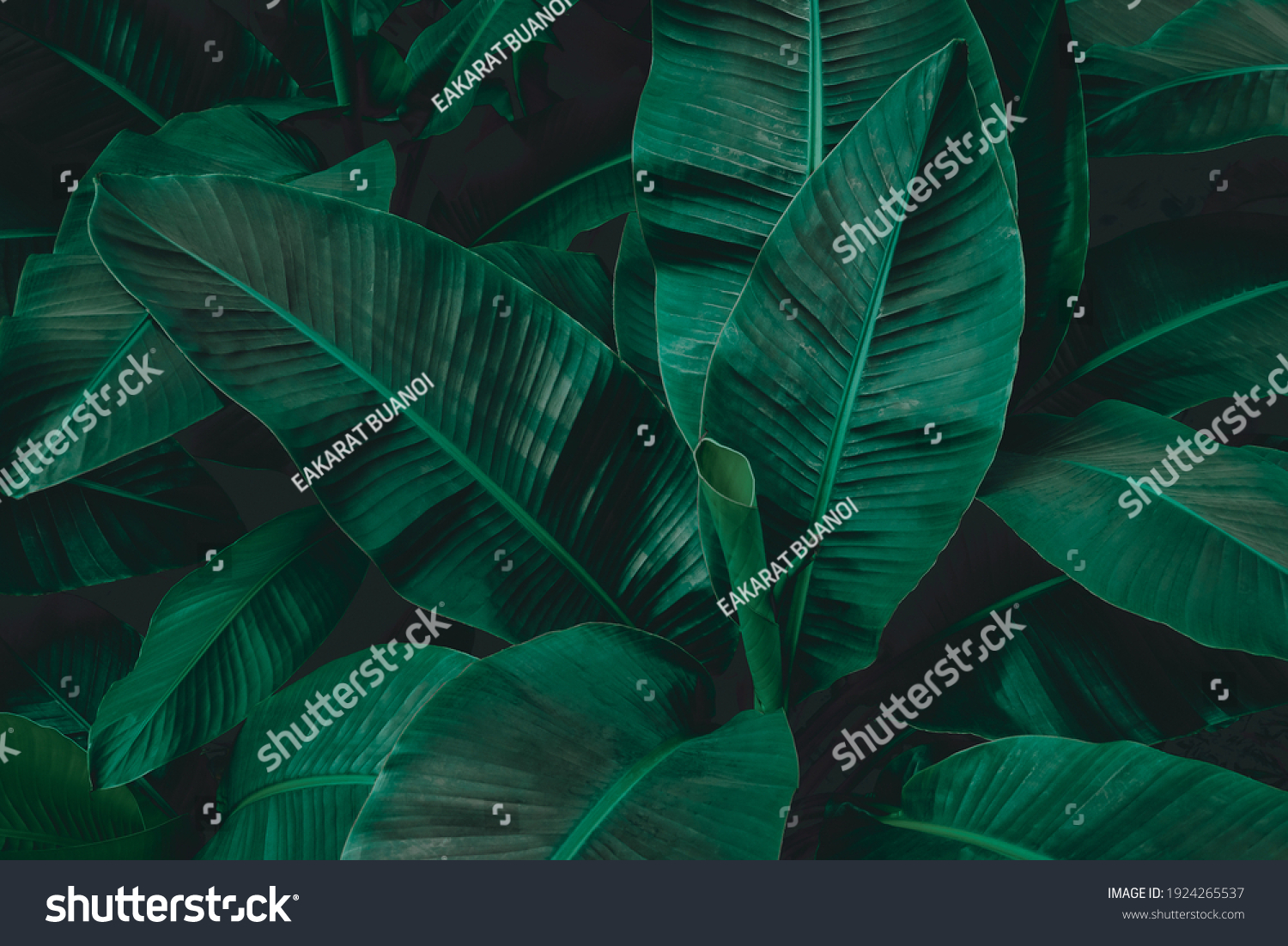 10,101,512 Summer texture Images, Stock Photos & Vectors | Shutterstock