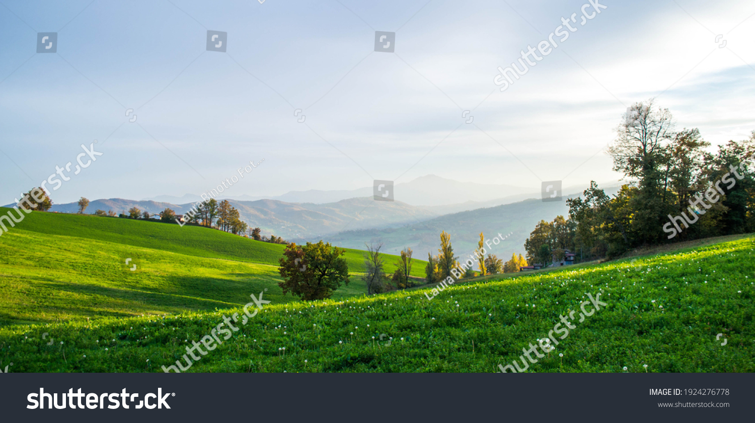 351 Serramazzoni Images, Stock Photos & Vectors | Shutterstock