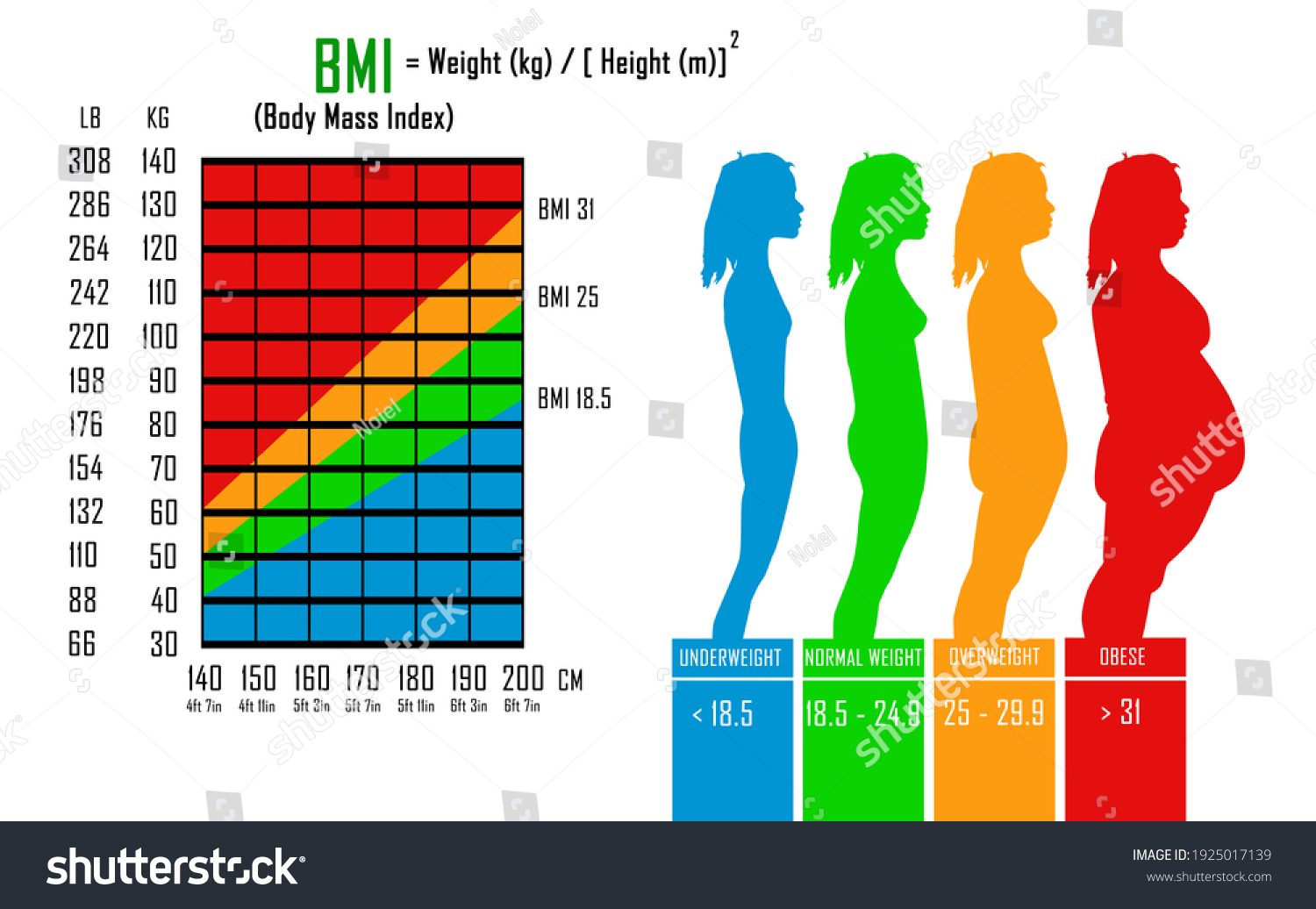 bmi index calculator women