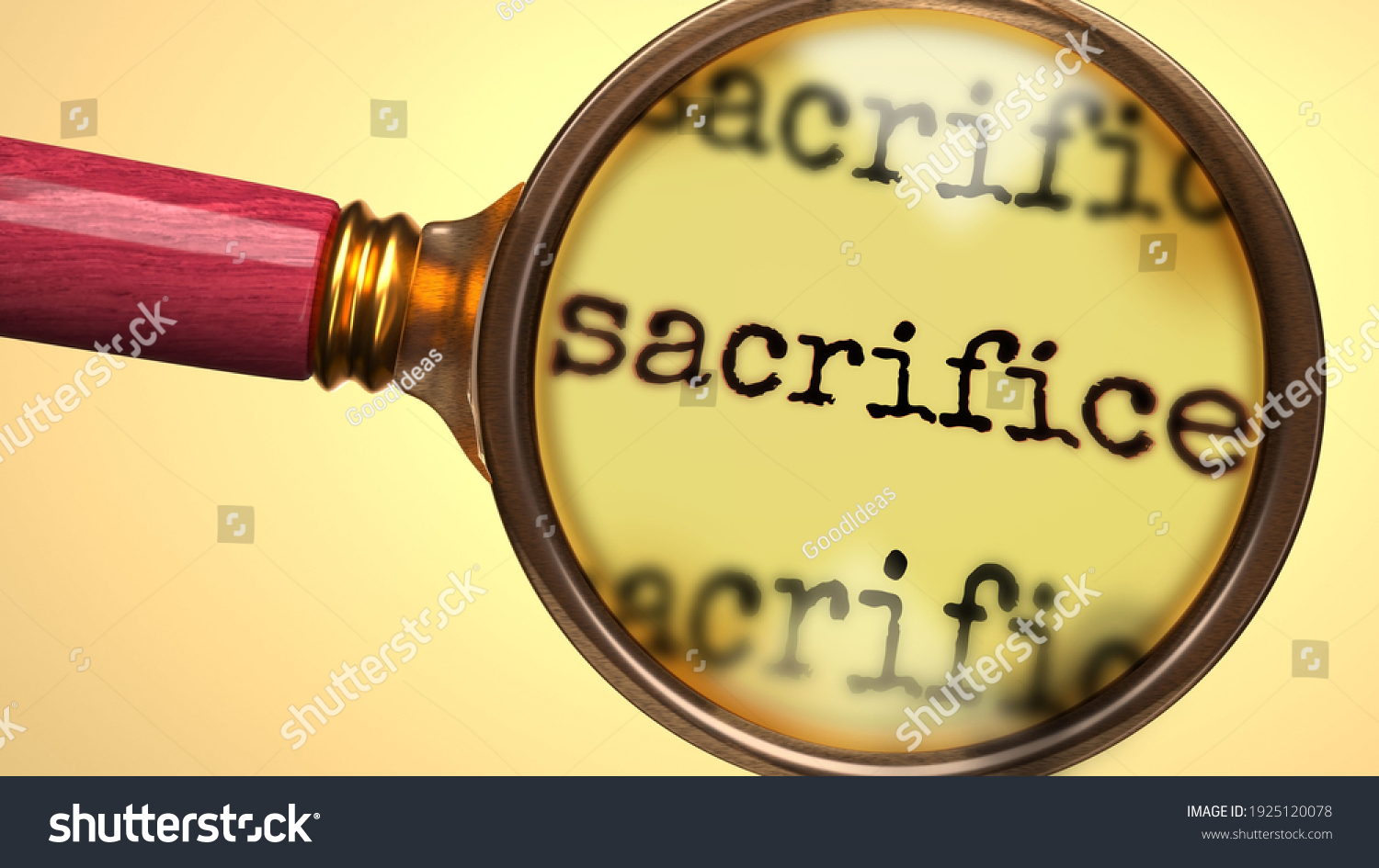 Examine Study Sacrifice Showed Magnify Glass Stock Illustration ...