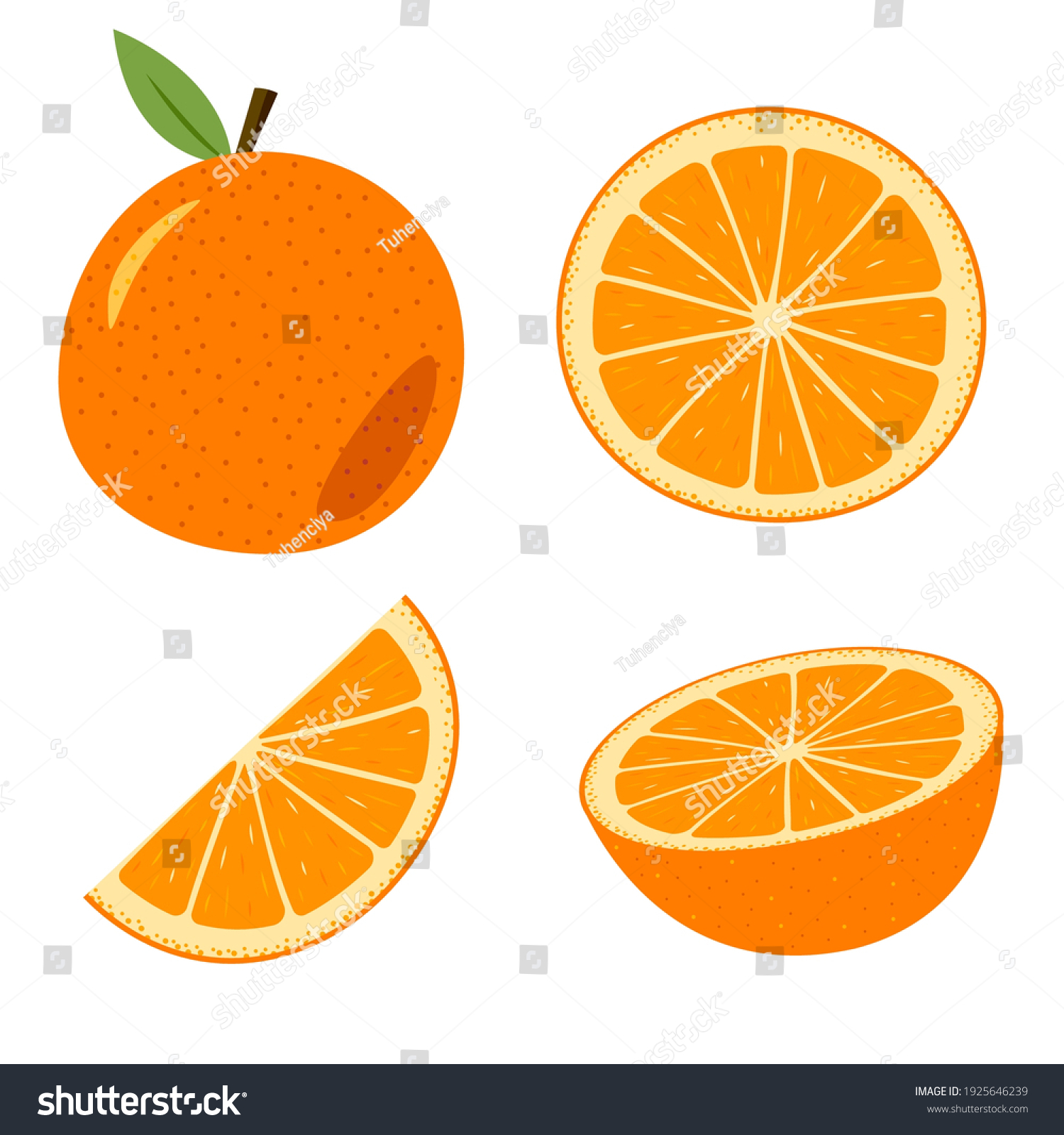 Set Orange Whole Cut Colored Cartoon Stock Vector (Royalty Free ...