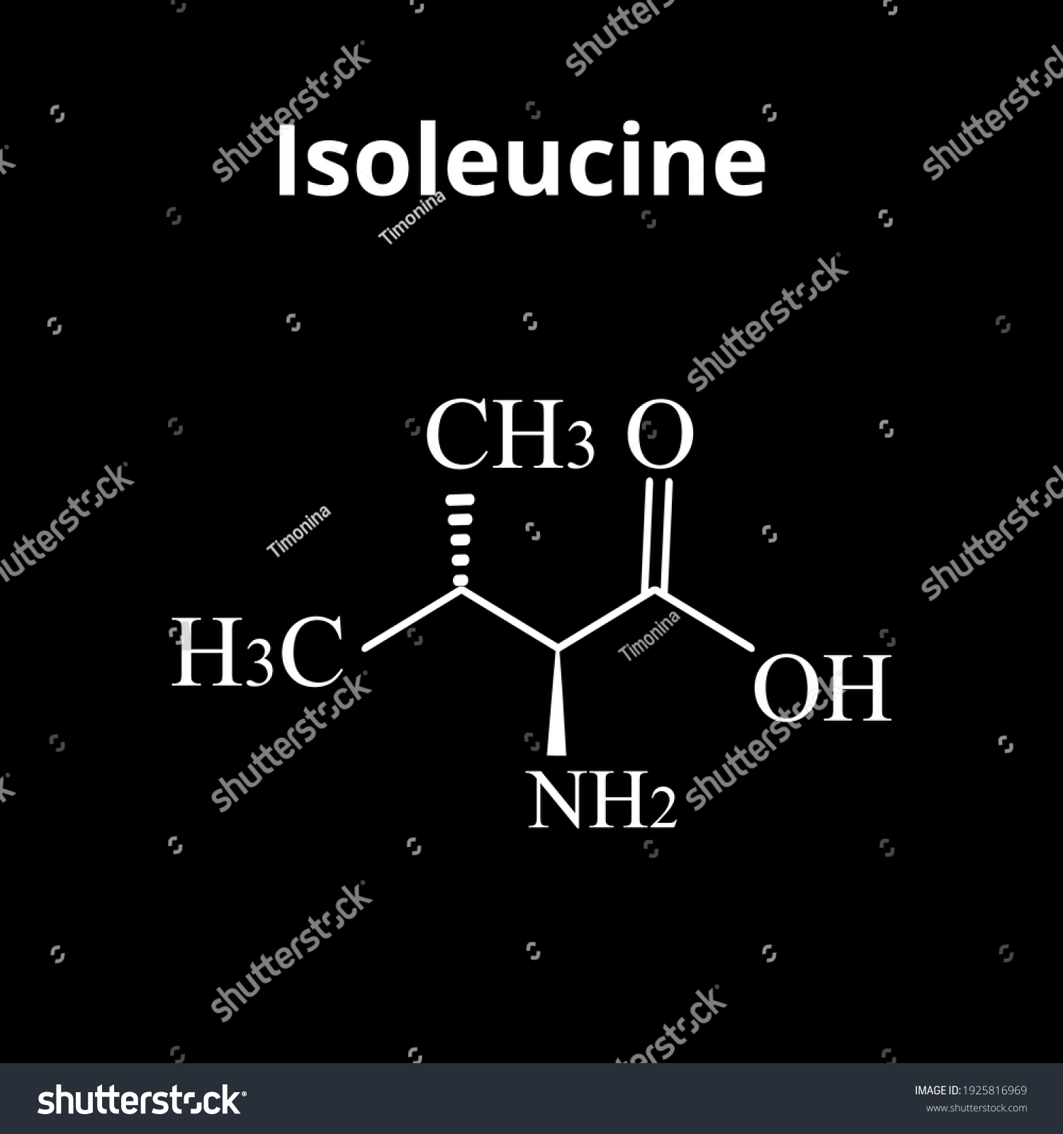 Isoleucine Amino Acid Chemical Molecular Formula Stock Vector Royalty Free