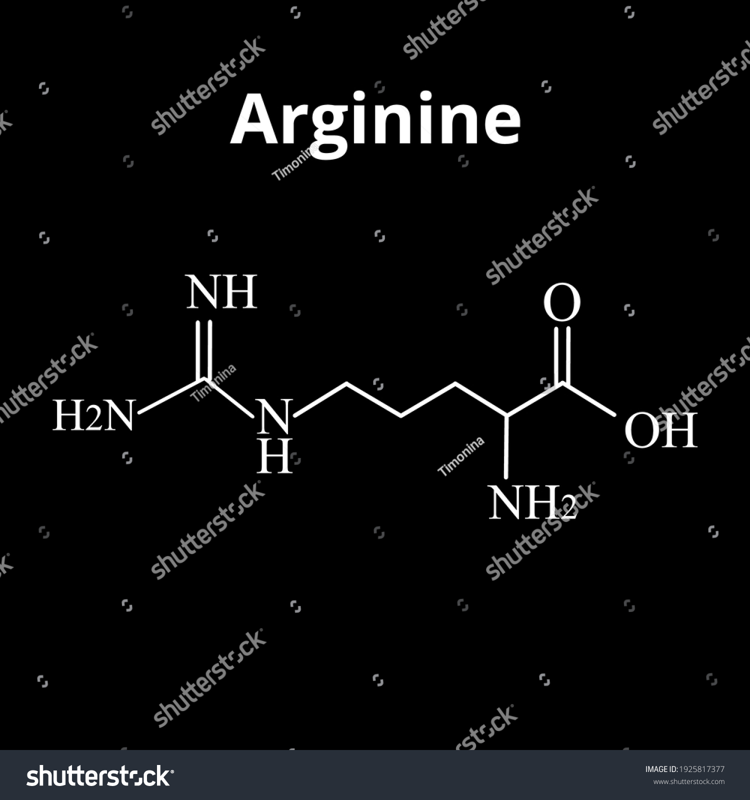 Arginine Amino Acid Chemical Molecular Formula Stock Vector Royalty Free 1925817377 Shutterstock 2617