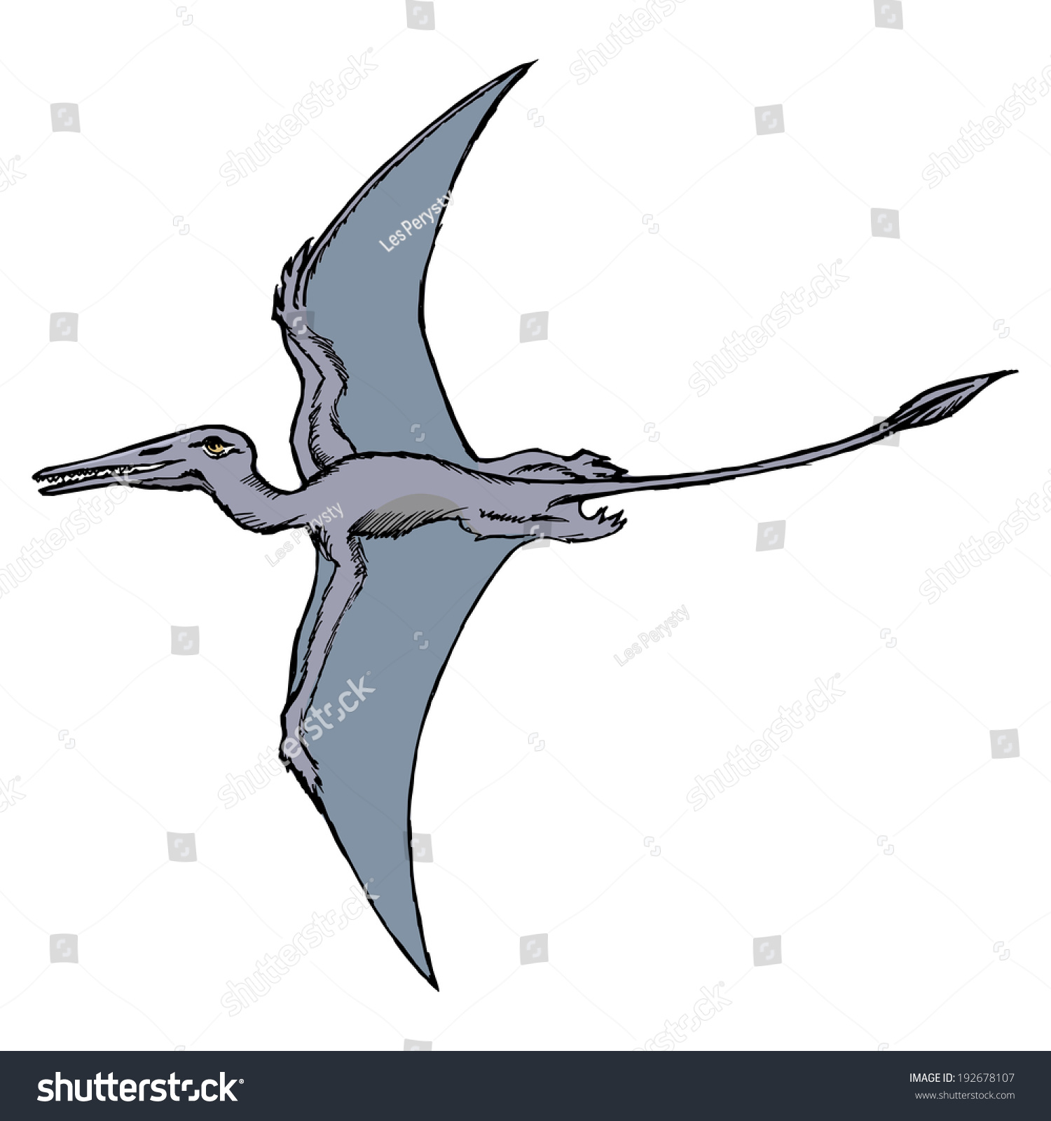 Hand Drawn Vector Sketch Illustration Pterodactyl Stock Vector (Royalty ...