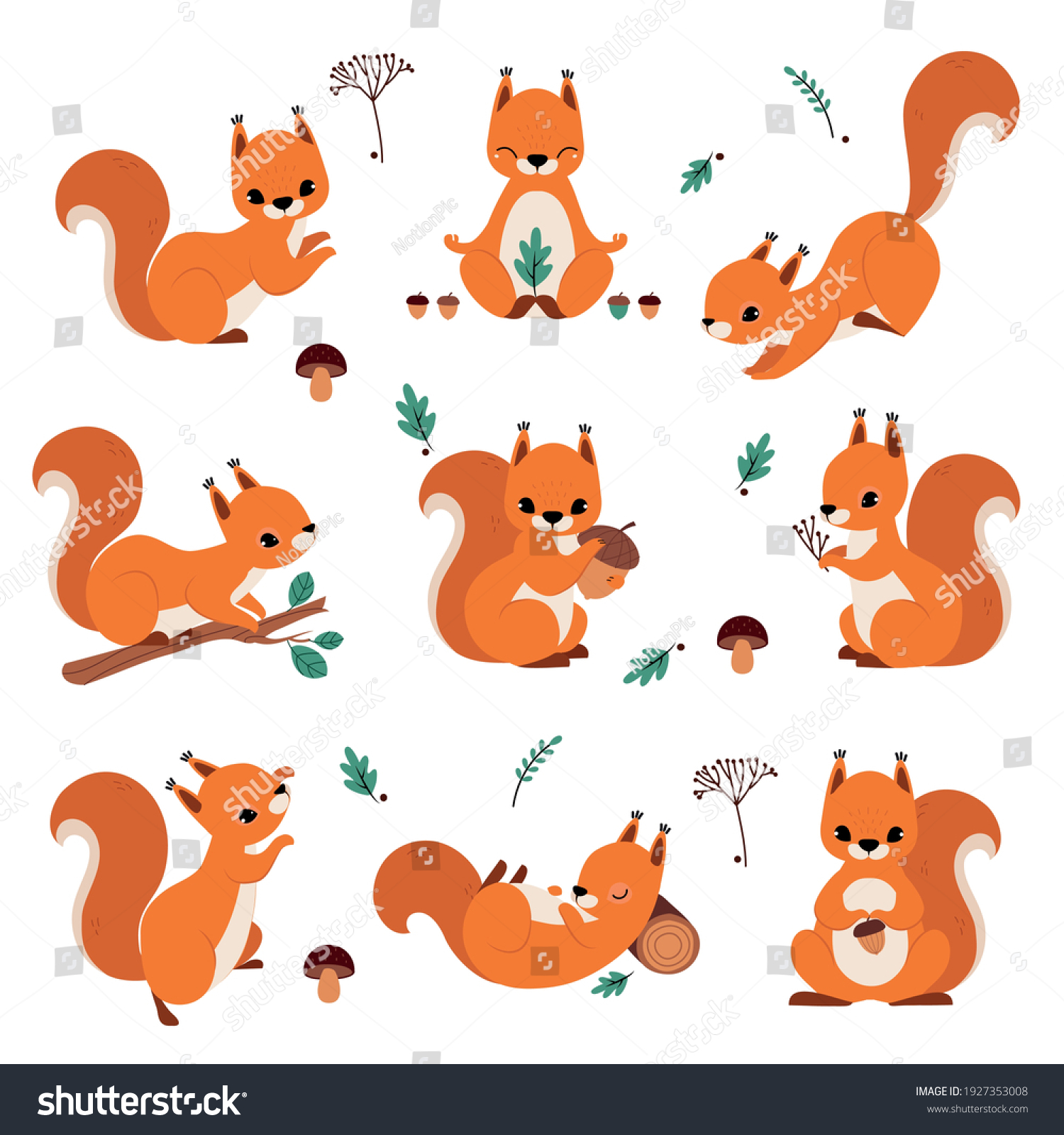 1,111 Squirrel Holding An Acorn Images, Stock Photos & Vectors ...