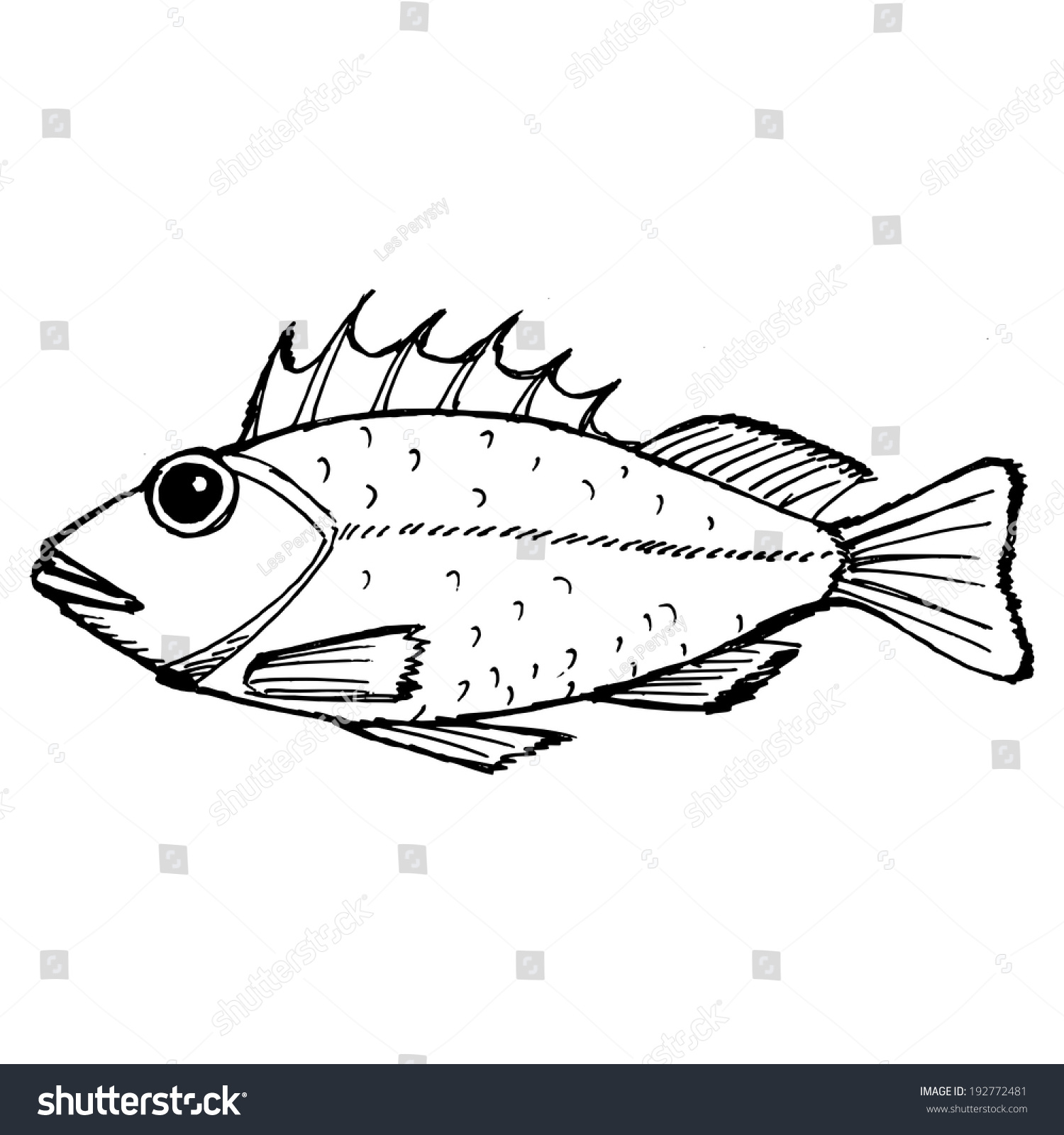 Рыба Ерш раскраска для детей