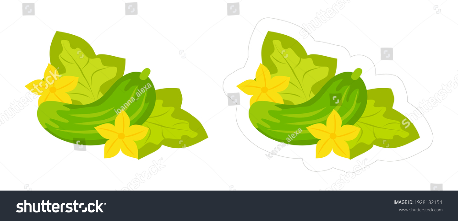 cucumber plant clipart borders