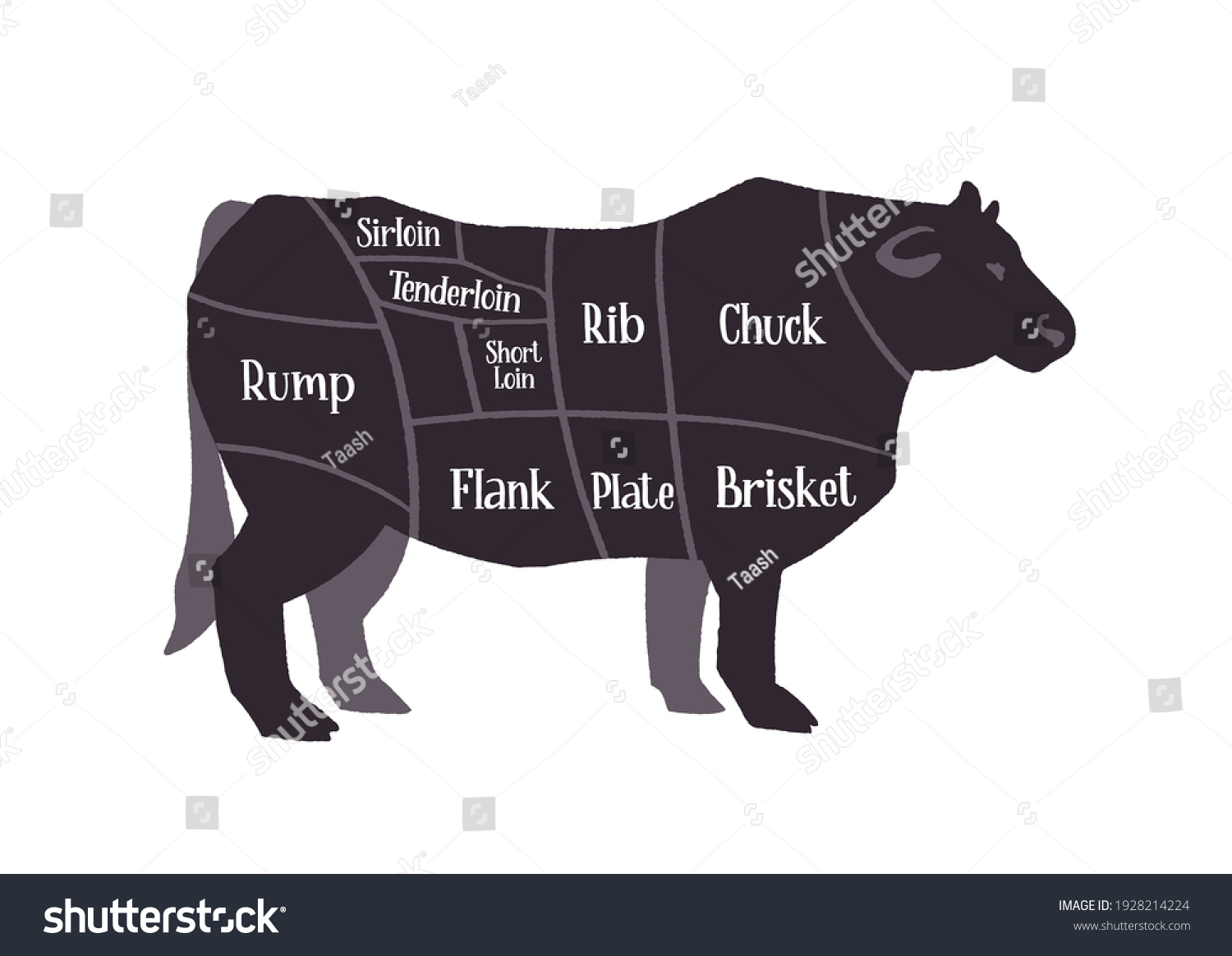 Cow Silhouette Beef Cuts Chart Scheme Stock Vector (Royalty Free ...