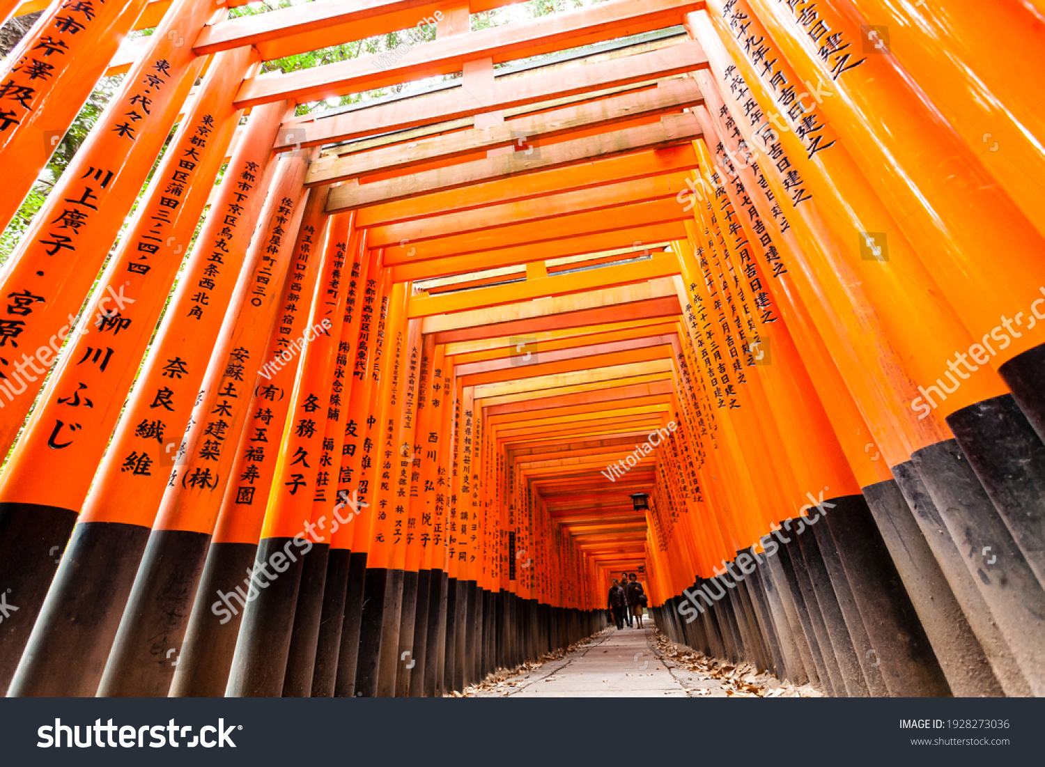 Traditional Korean Fermented Food Gwangjang Market写真素材 Shutterstock