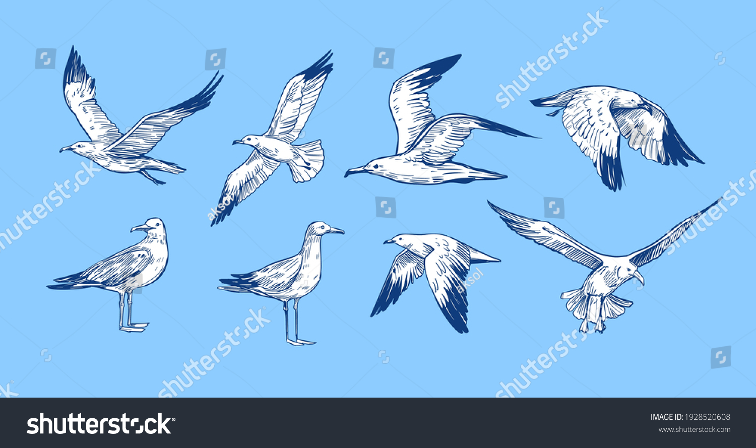 1,075,670 Oiseaux De Mer Images, Stock Photos & Vectors | Shutterstock