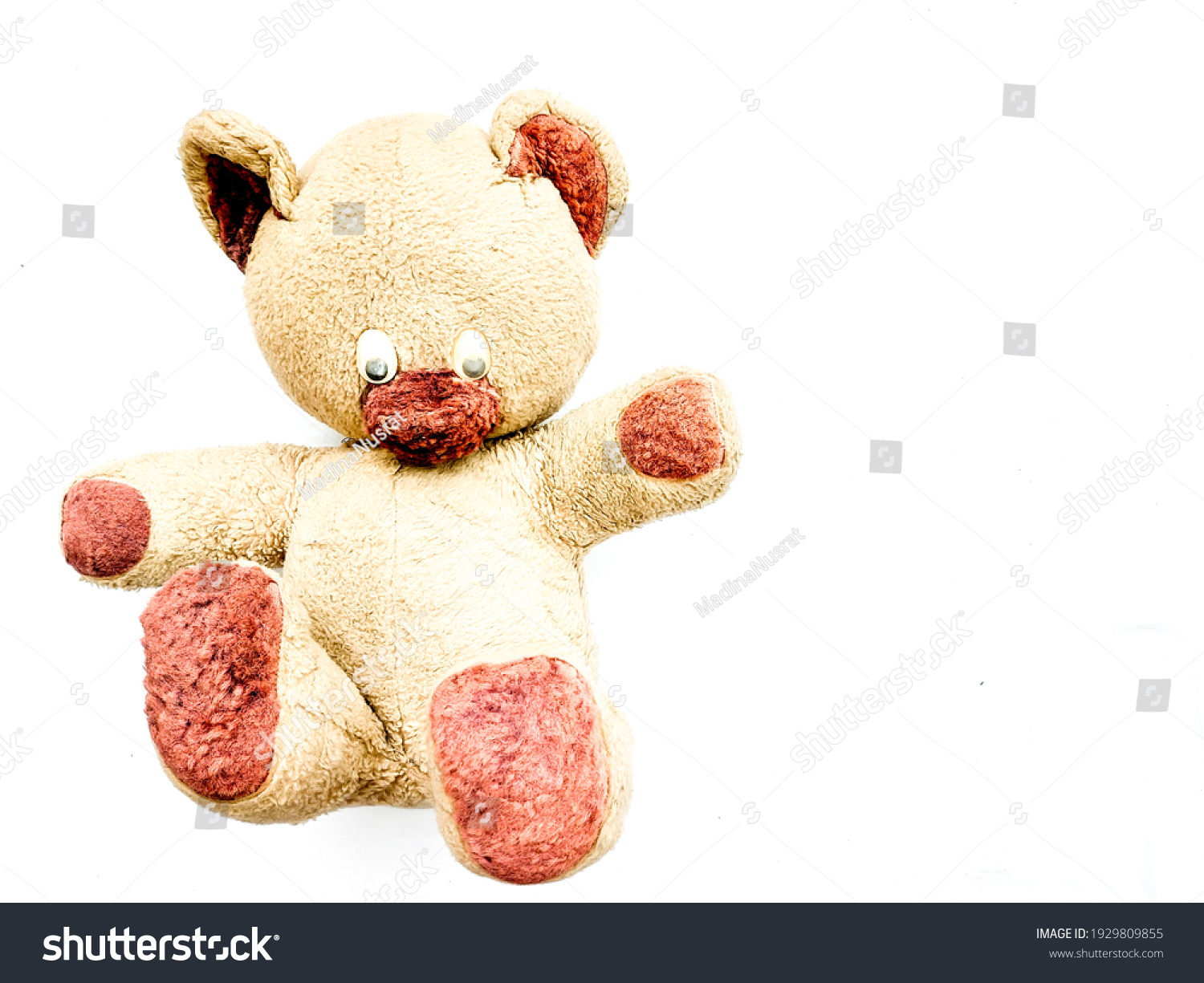 Very Old Teddy Bear This Teddy Stock Photo 1929809855 | Shutterstock