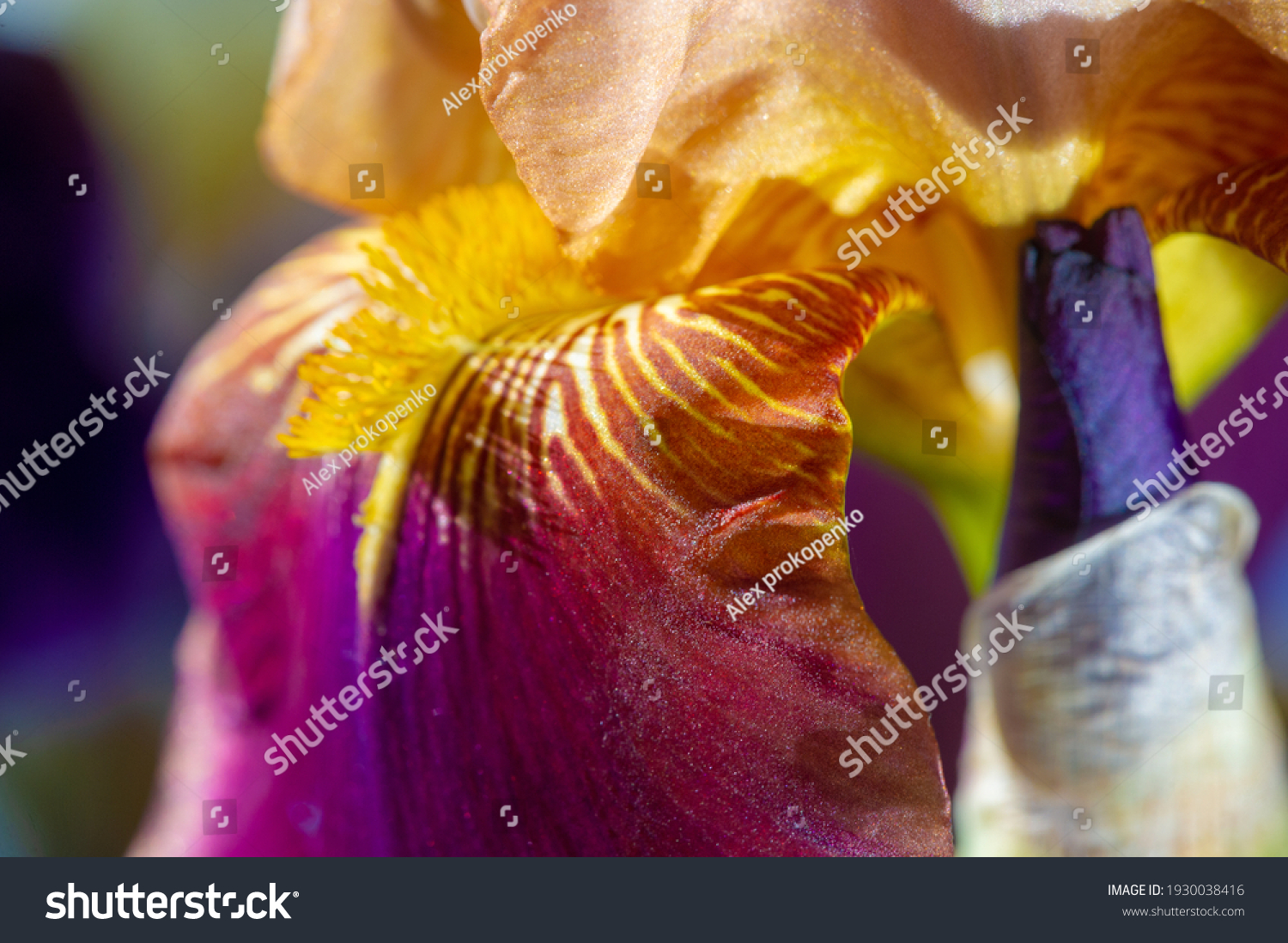 name-iris-greek-word-rainbow-greeks-stock-photo-1930038416-shutterstock