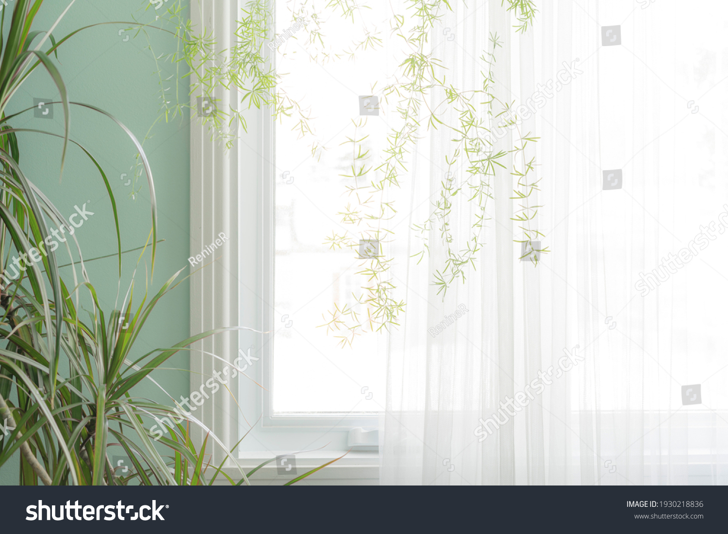 Part Interior Green Indoor Plants By Stock Photo 1930218836 | Shutterstock