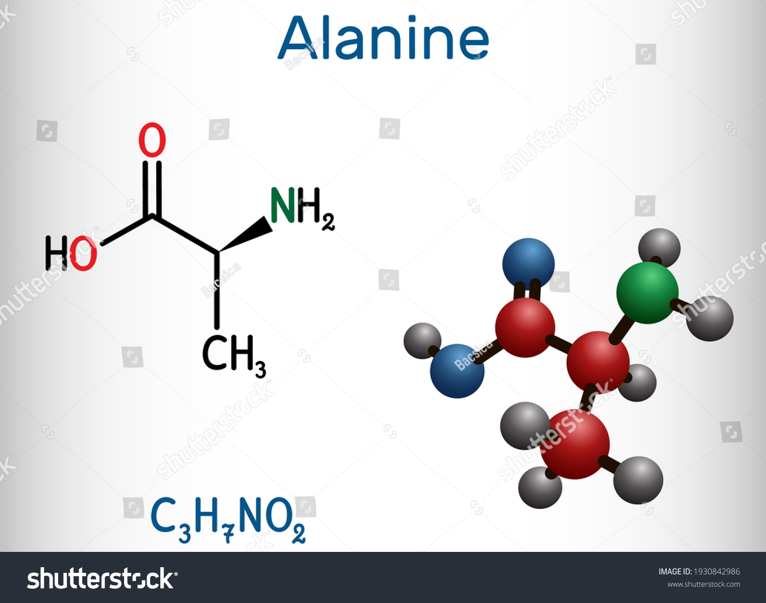 Аланин структурная формула картинка