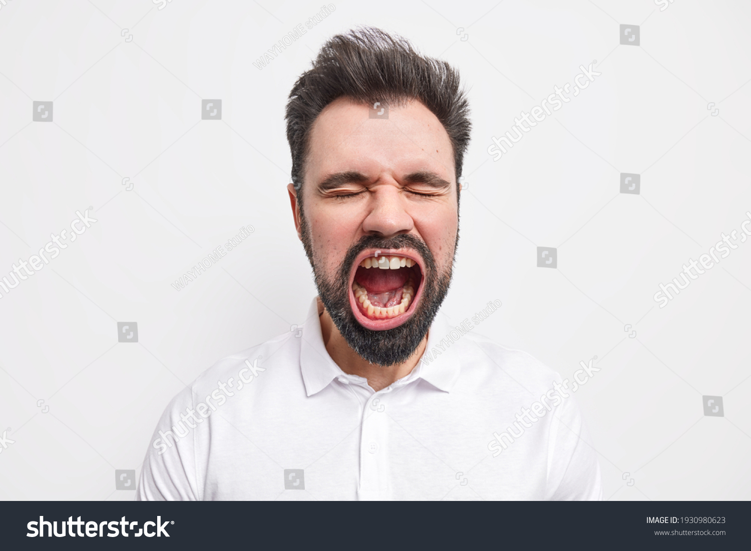 Portrait Emotional Bearded Mad European Man Stock Photo 1930980623 ...