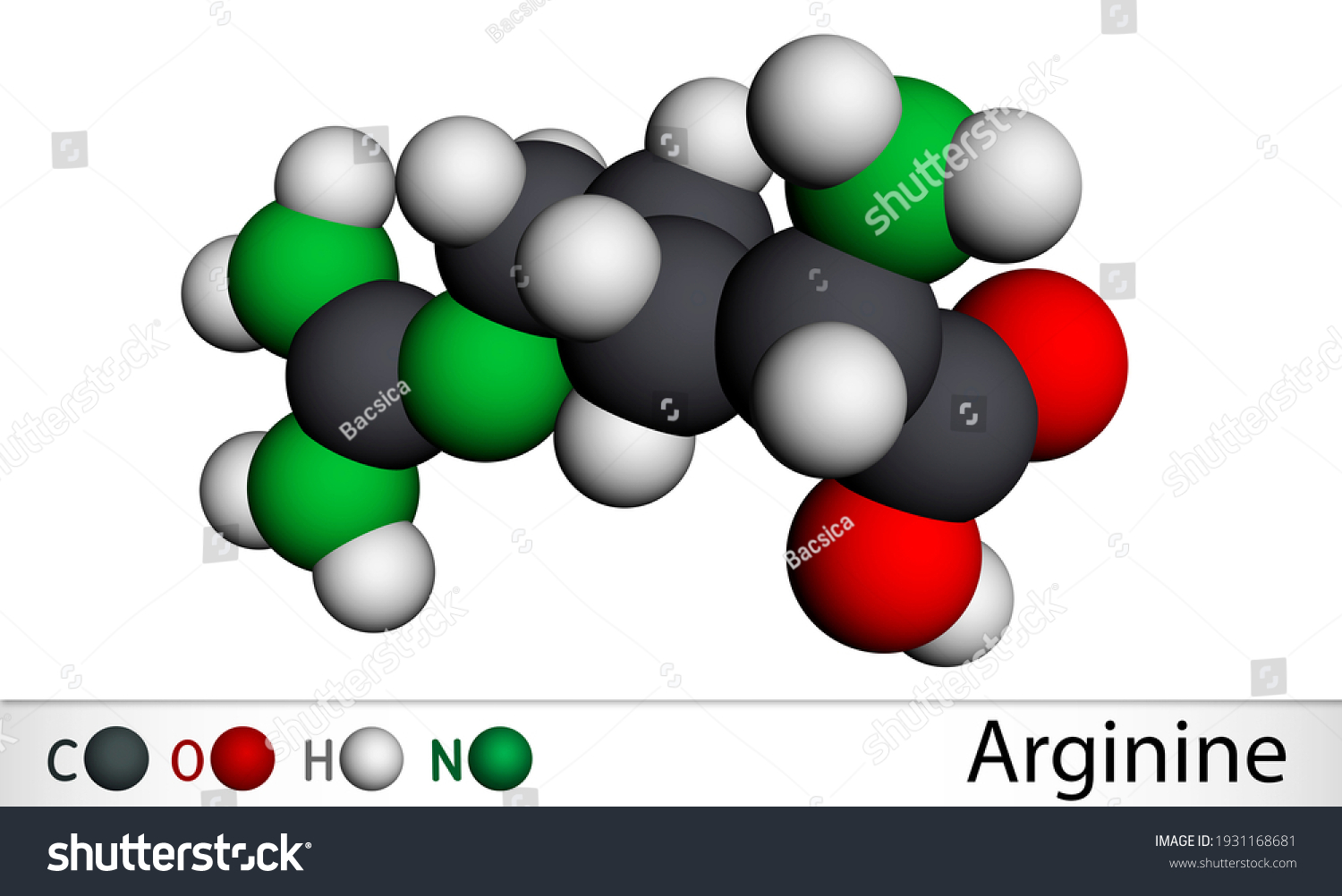 Peptide Bond Formation Amide Bonds Two 库存矢量图 免版税 Shutterstock