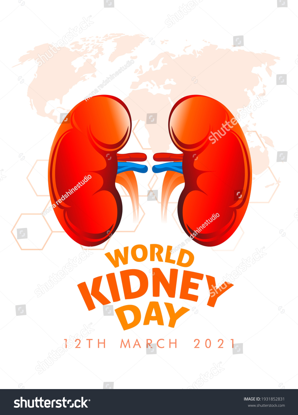 Illustration World Kidney Day Poster Banner Stock Vector (Royalty Free ...