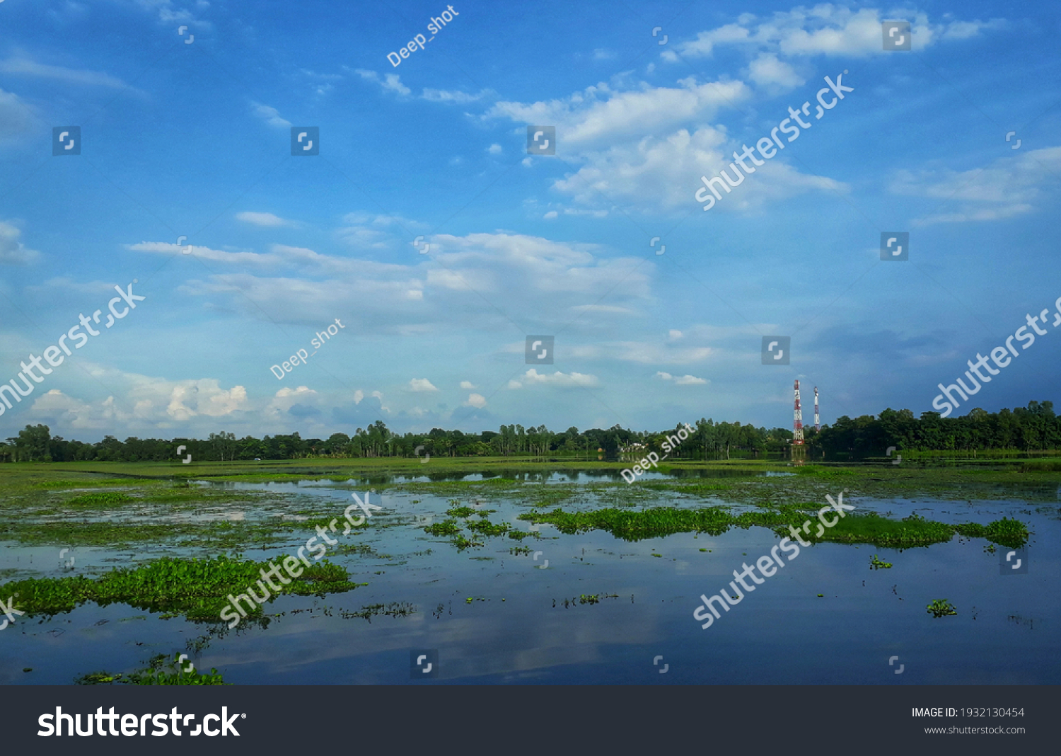 adjective-natural-common-word-meanings-describes-stock-photo-1932130454-shutterstock