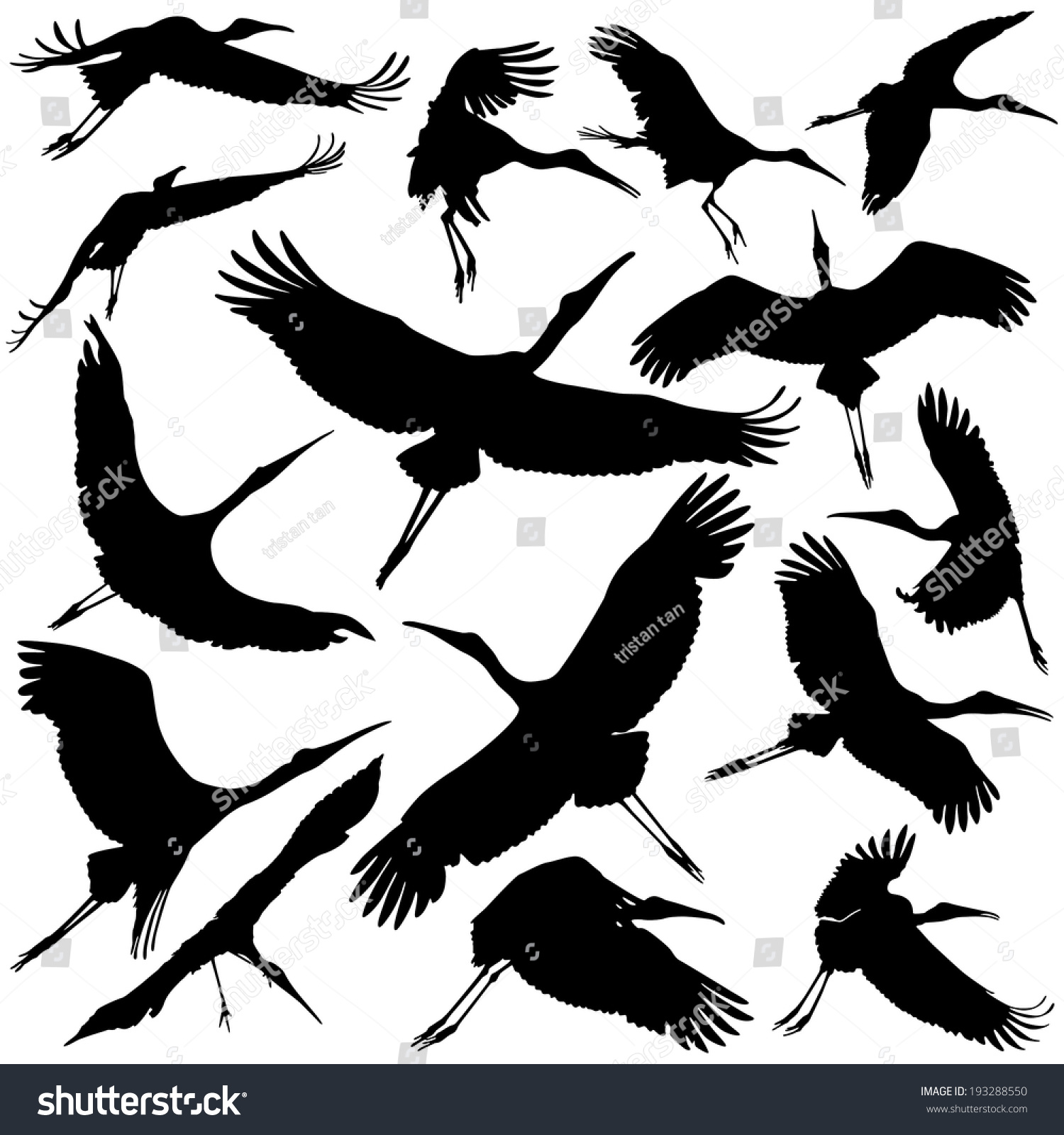 Stork Silhouettes Collection Sets Stock Vector (royalty Free) 193288550 