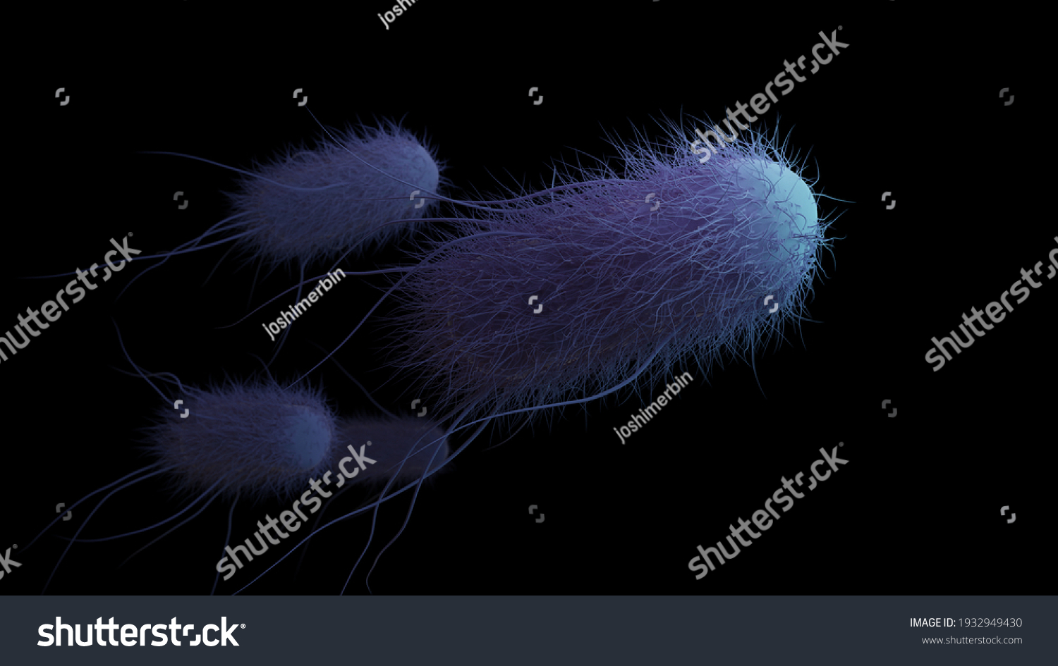 E Coli Escherichia Coli 3d Rendering Stock Illustration 1932949430 