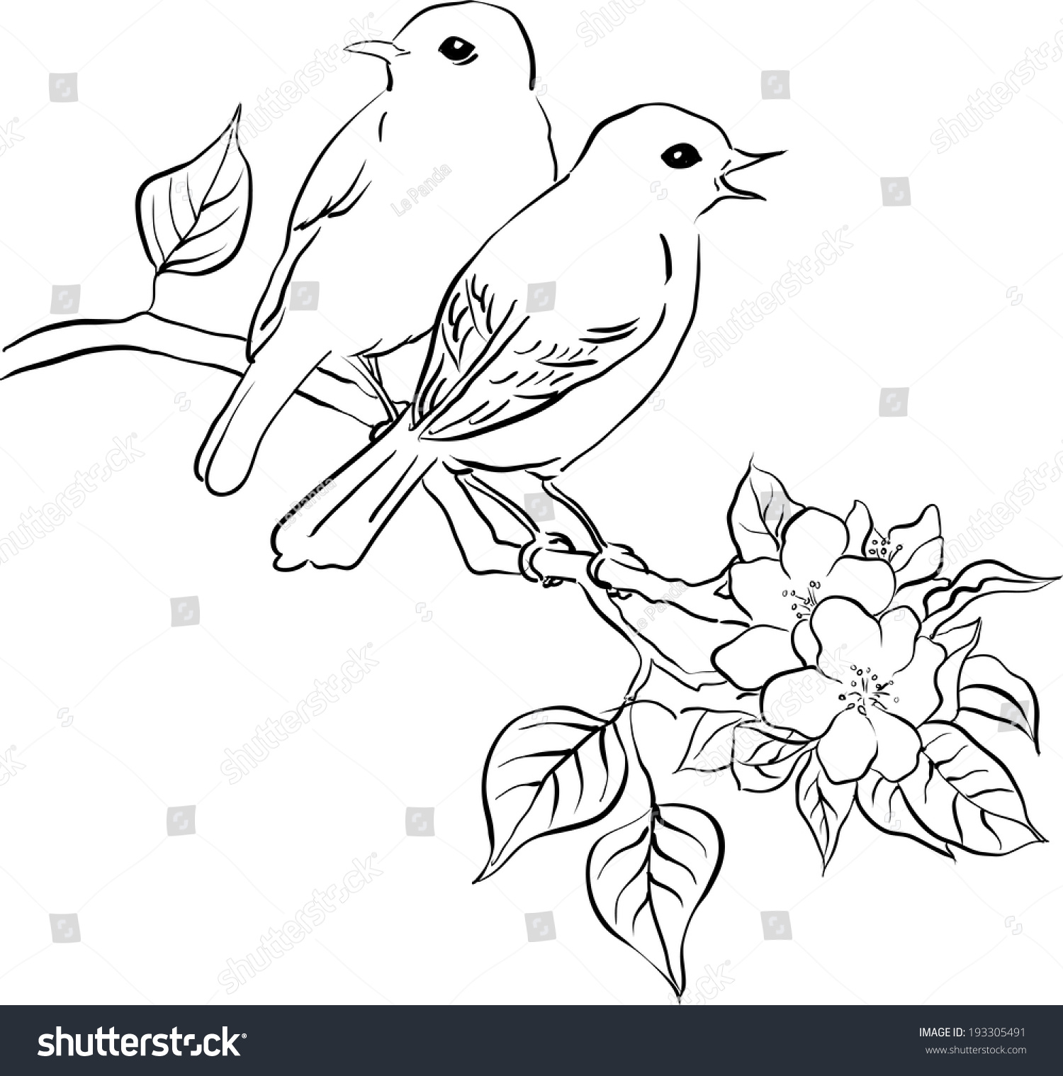 Раскраска две птички на ветке