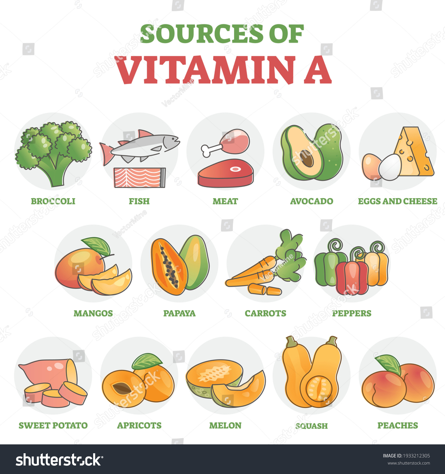 Sources Vitamin Healthy Nutrition Food Examples Stock Vector (Royalty ...