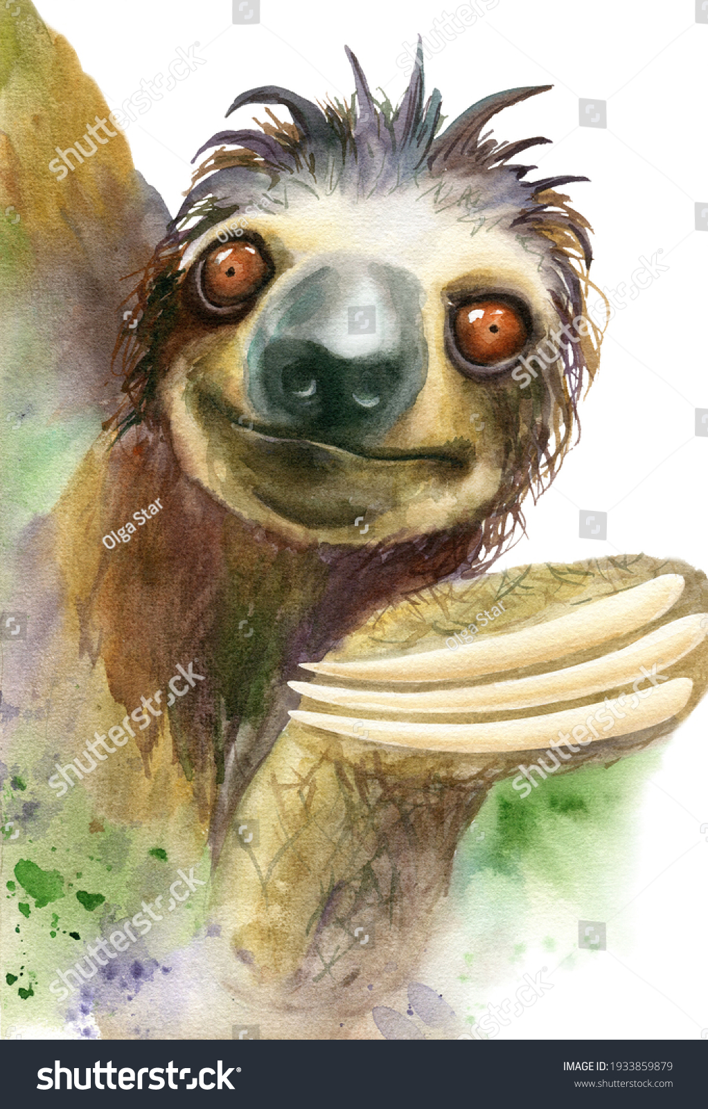 Sloth Watercolour Portrait Sloth Handdrawn Watercolor Stock ...