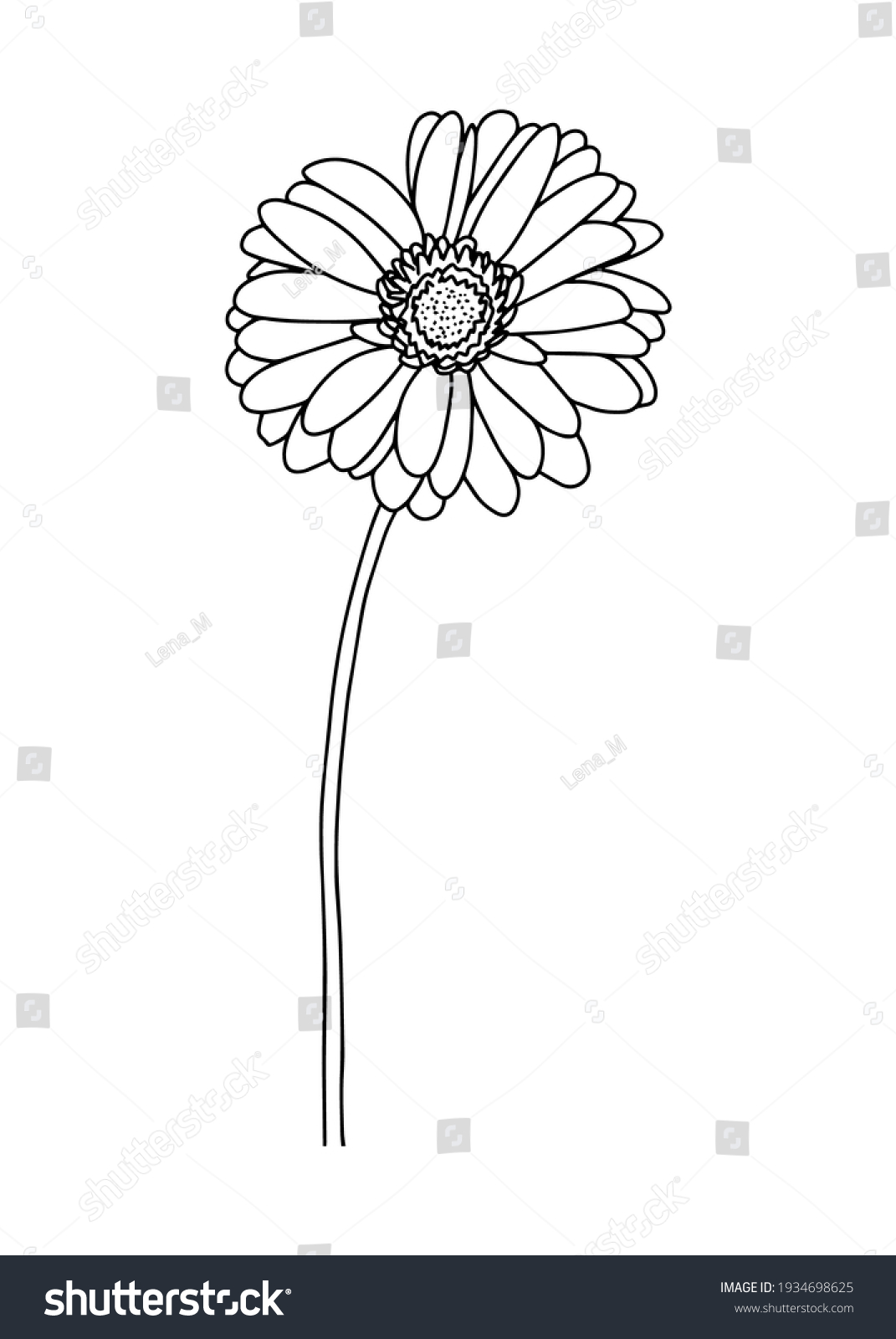 Vector Illustration Gerbera Doodle Style Suitable Stock Vector (Royalty ...