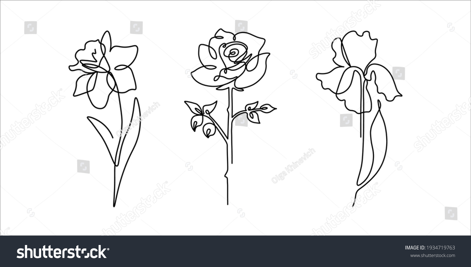 Black White Set Illustrations Iris Rose Stock Vector (Royalty Free ...